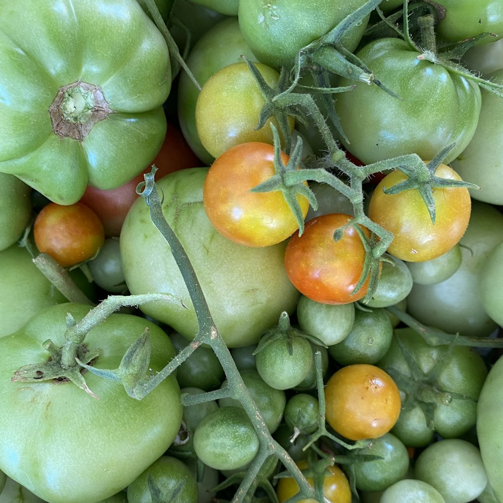 Frutas verdes y naranjas en palo de madera marrón