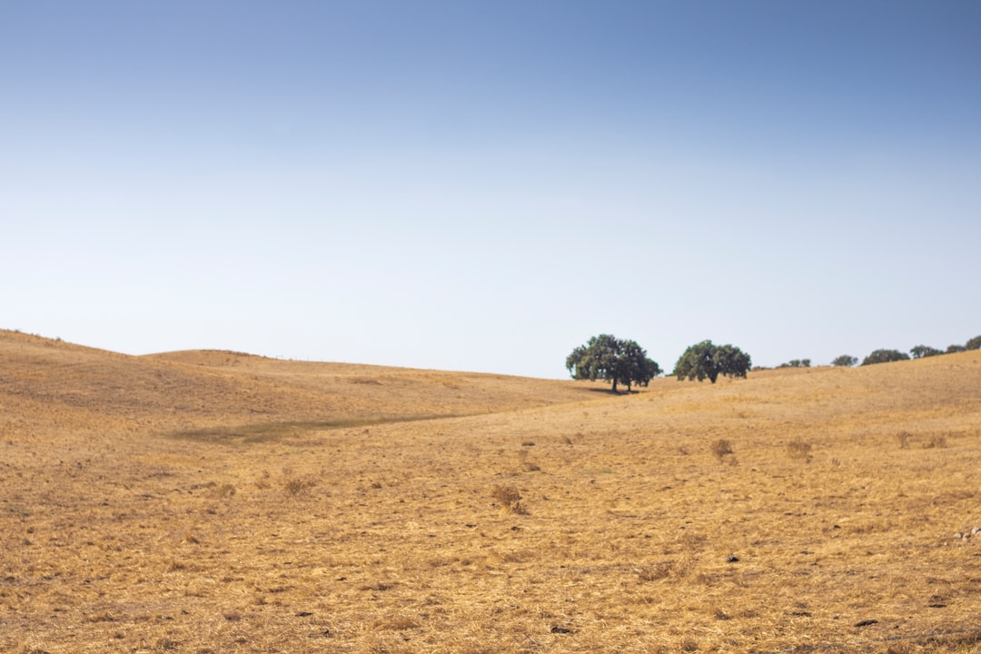 Plain photo spot Alentejo Portugal