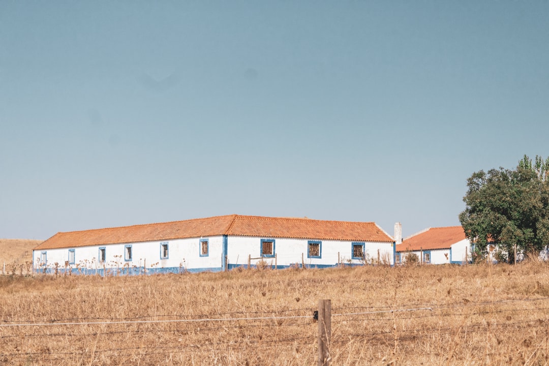 Plain photo spot Alentejo Vendas Novas