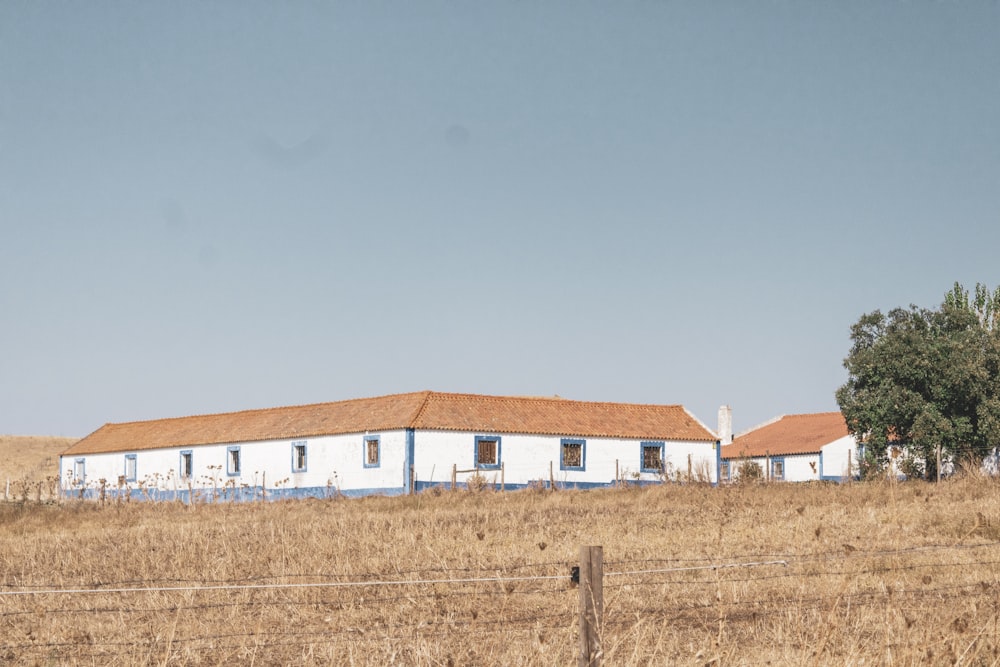 case bianche e marroni su campo marrone sotto cielo blu durante il giorno