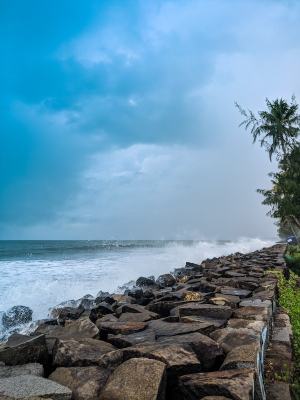 What to See in Kochi: Travel Guide for Exploring Local Attractions
