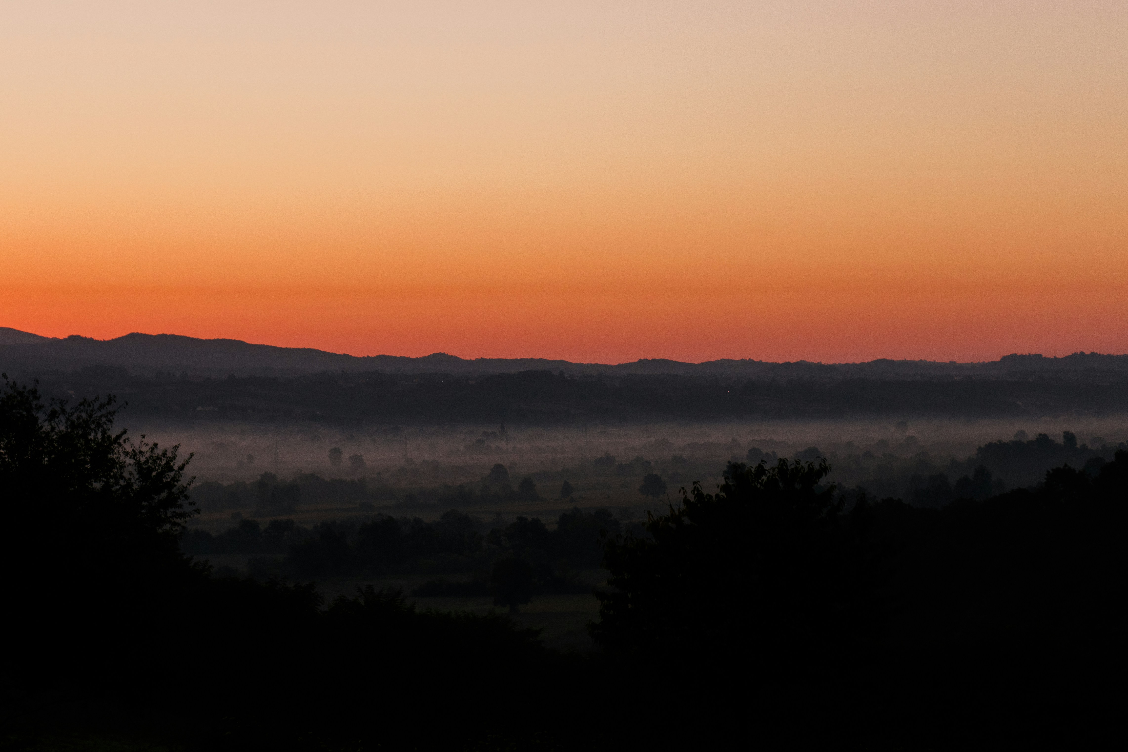 Photo by thestefankostic