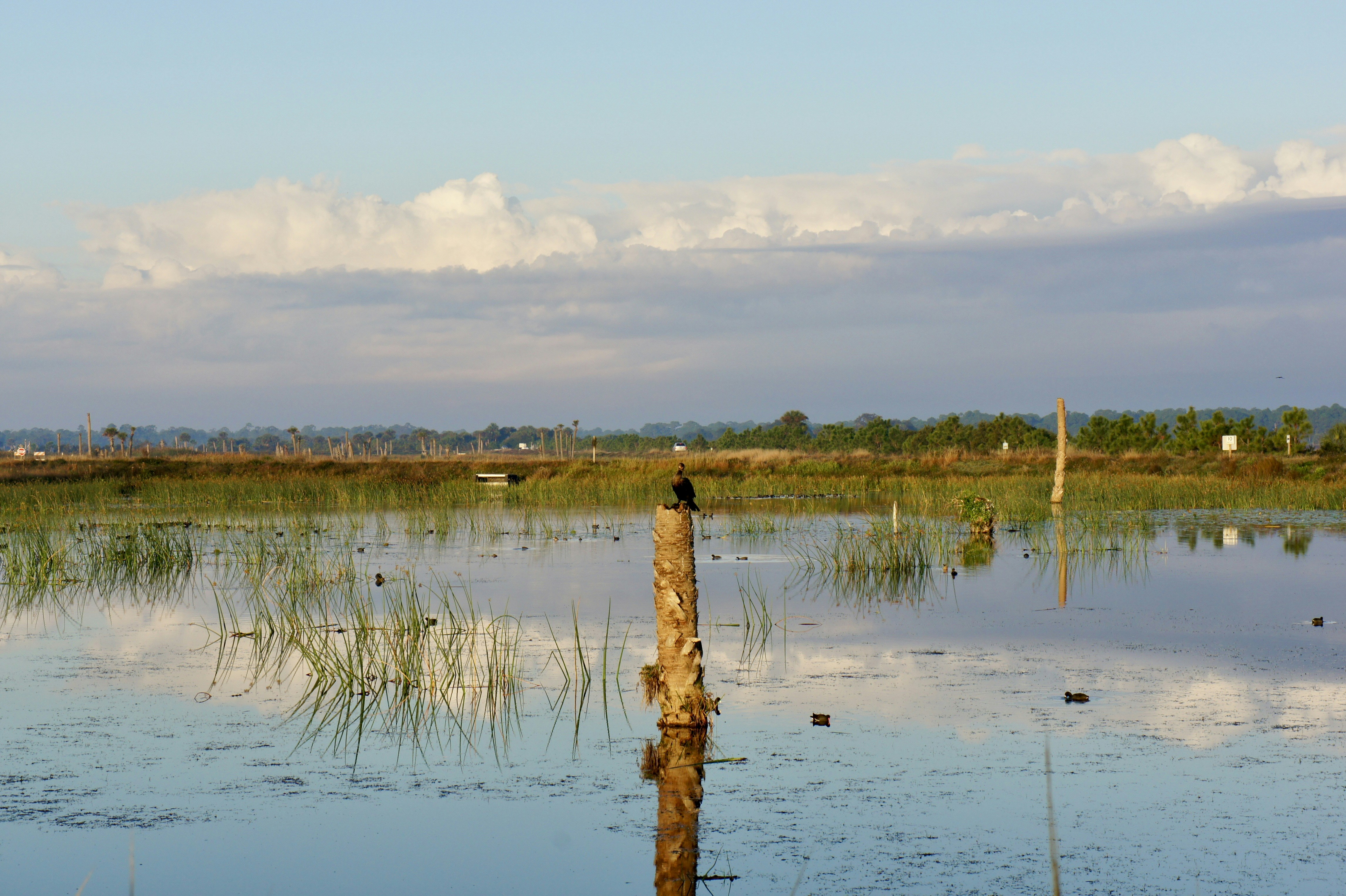 Photo by philiparambula