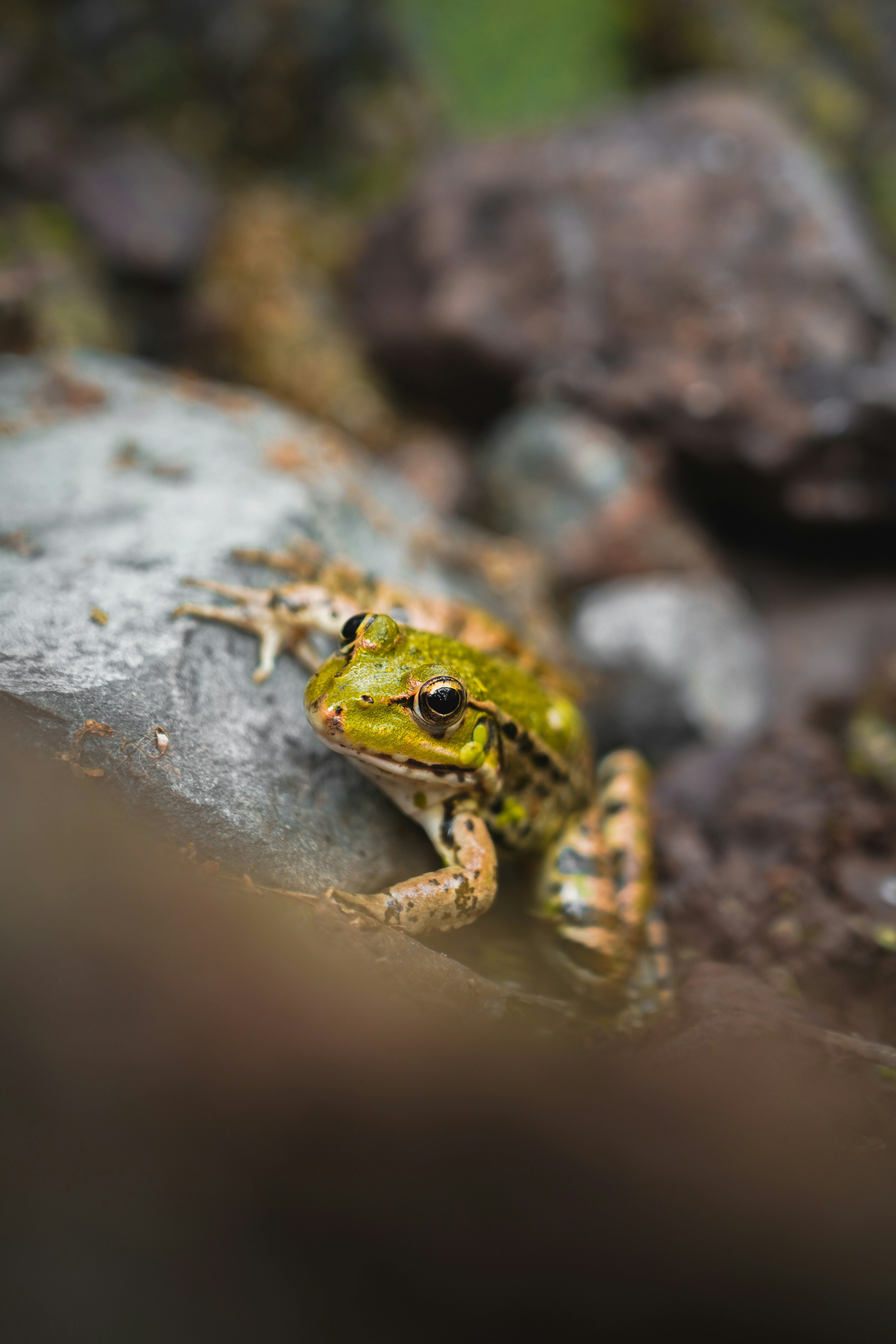 Photo by kiarash_mansouri