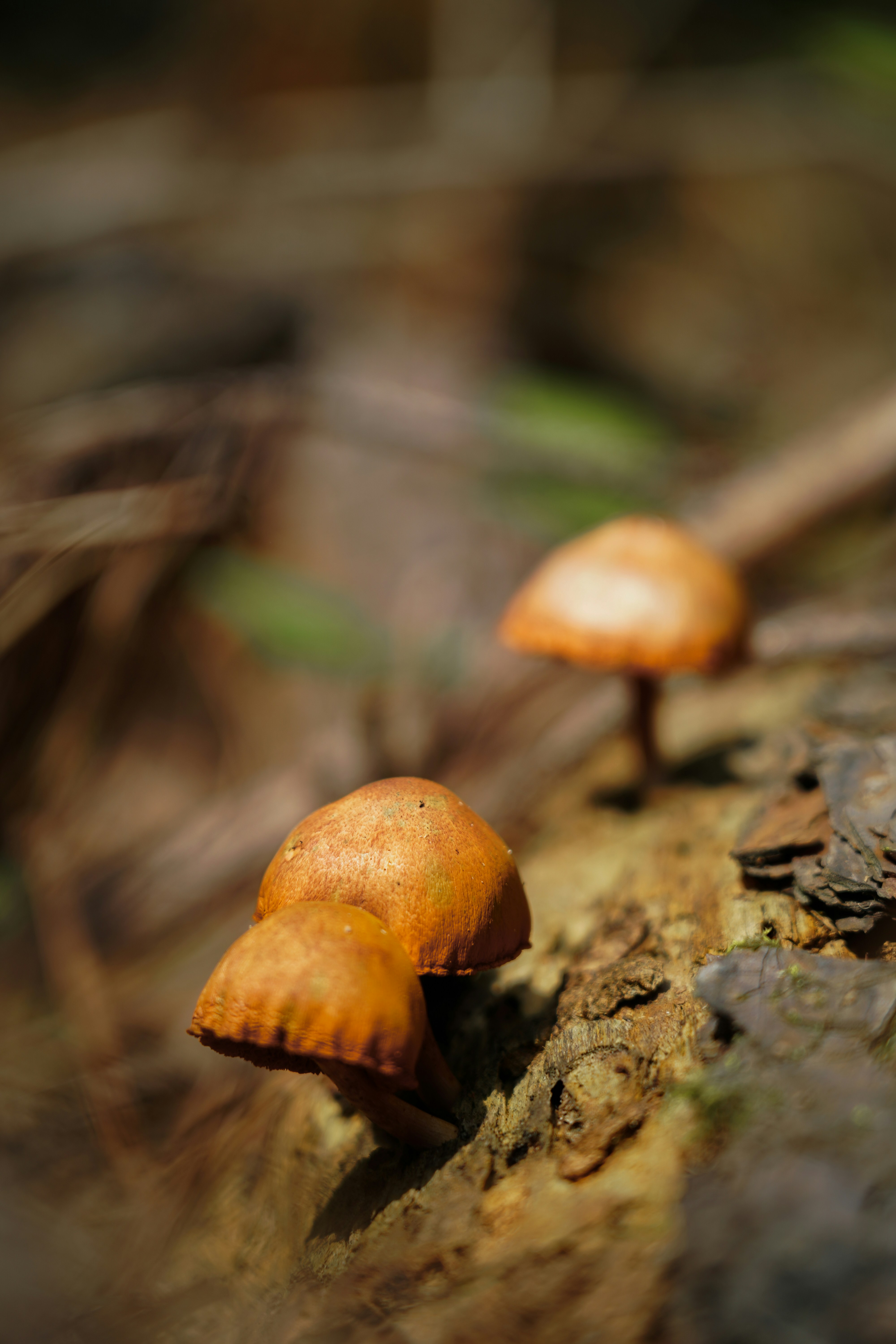 Photo by kiarash_mansouri