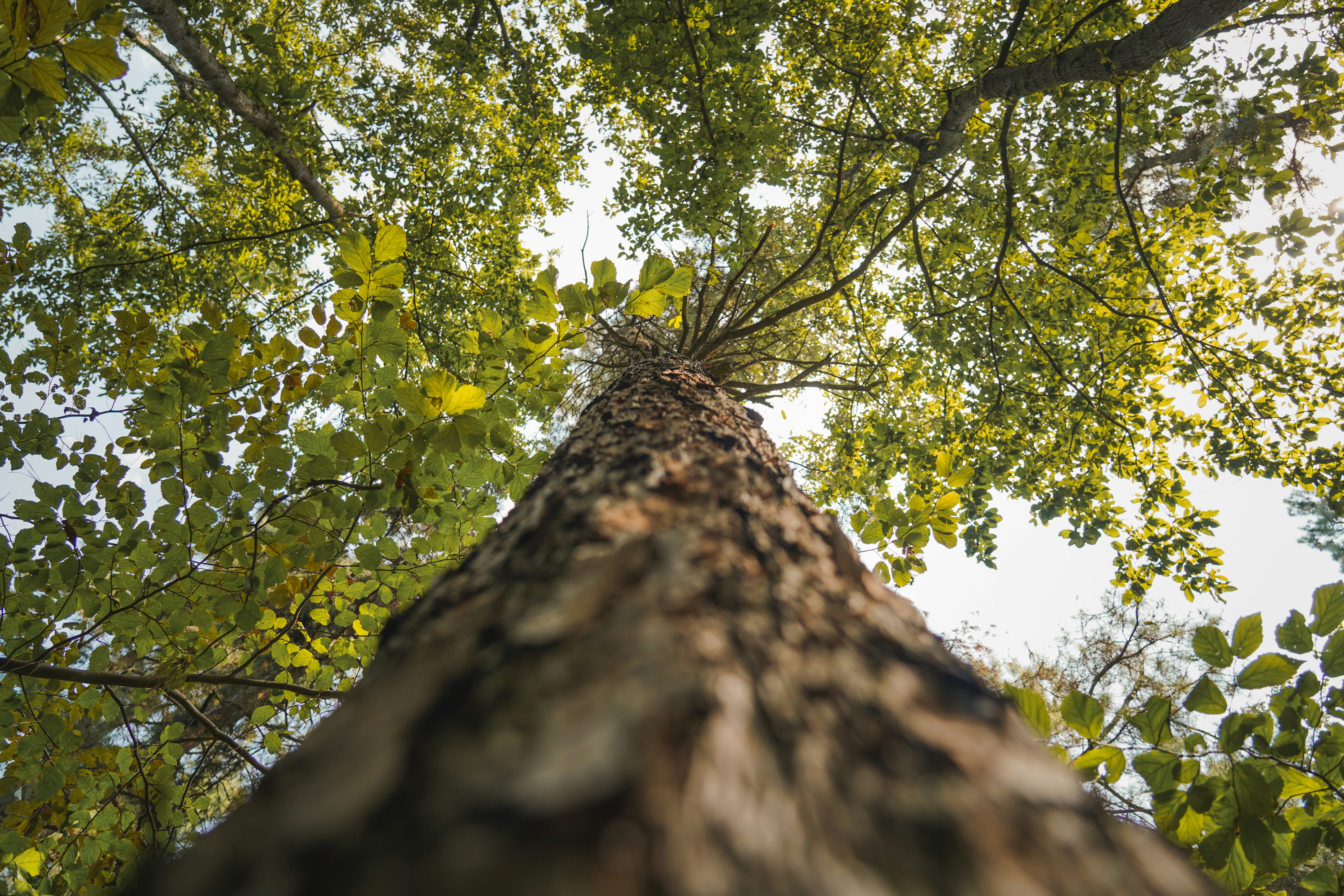 Photo by kiarash_mansouri