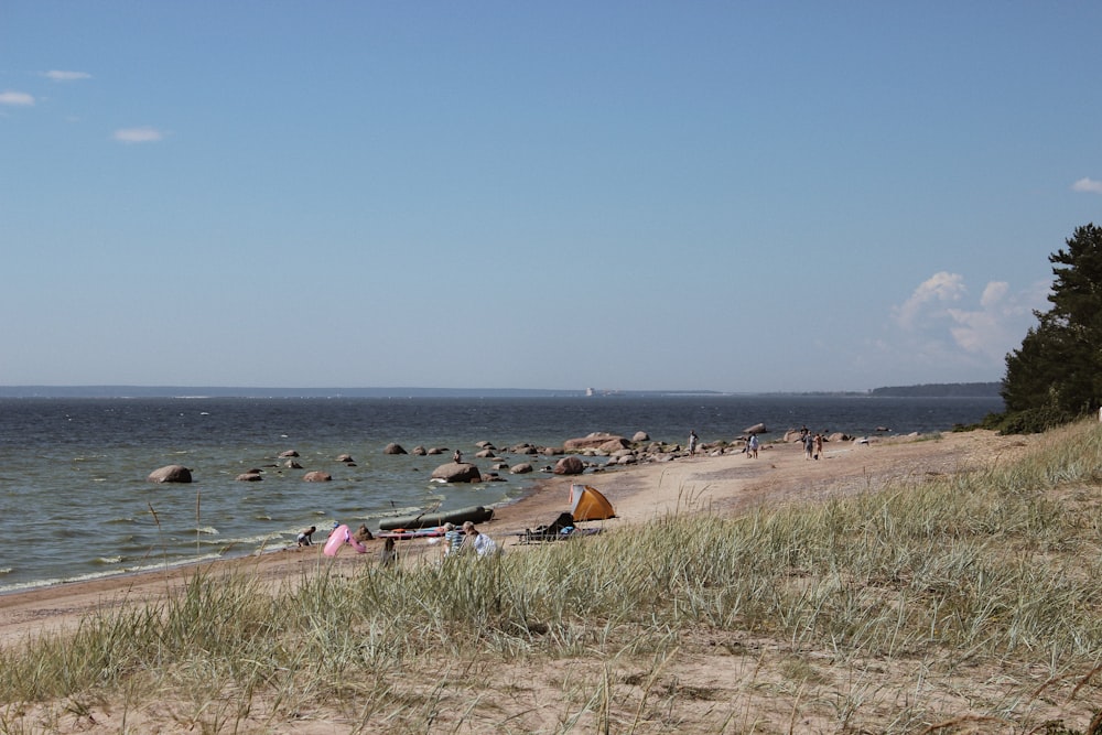 people on beach during daytime