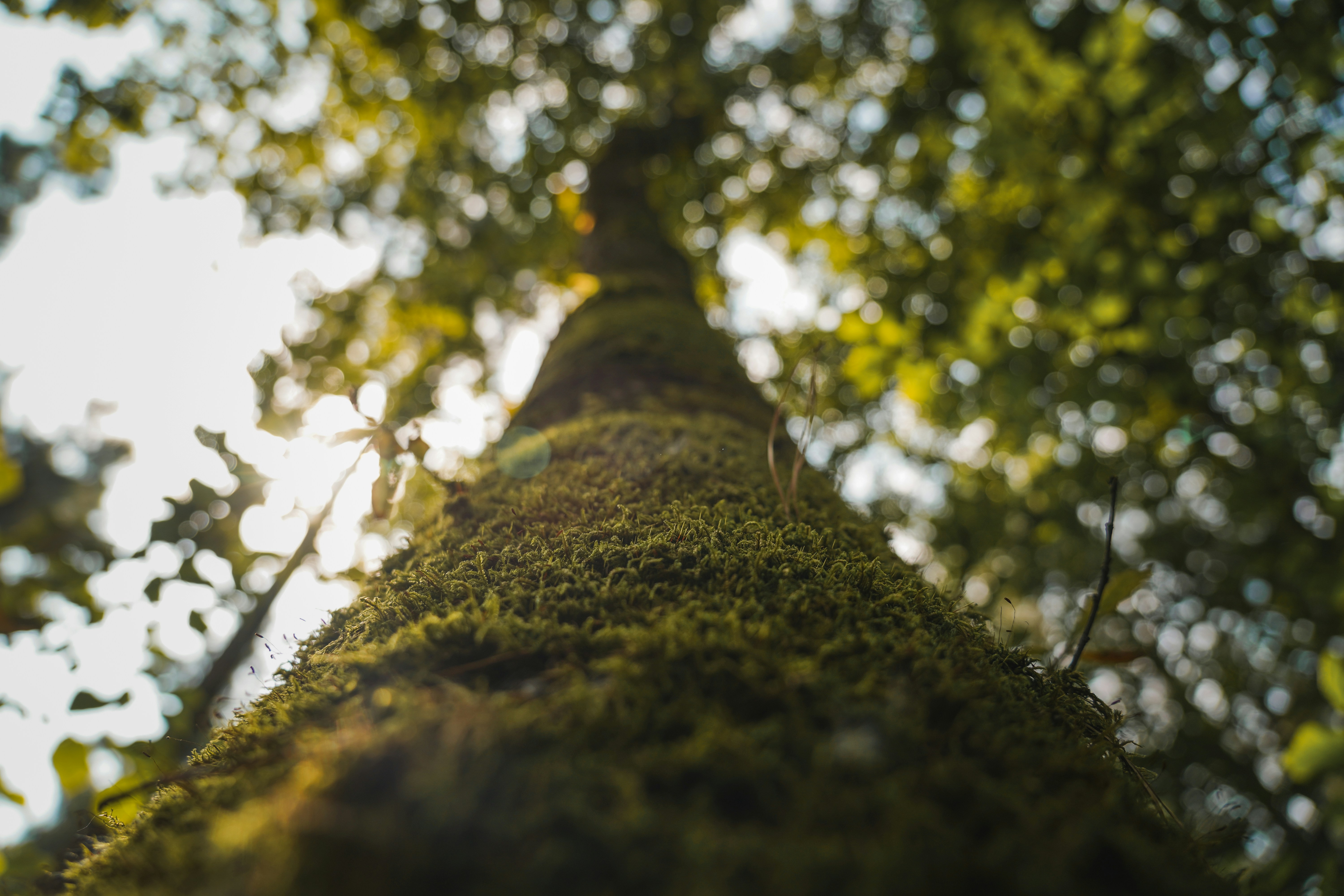 Photo by kiarash_mansouri