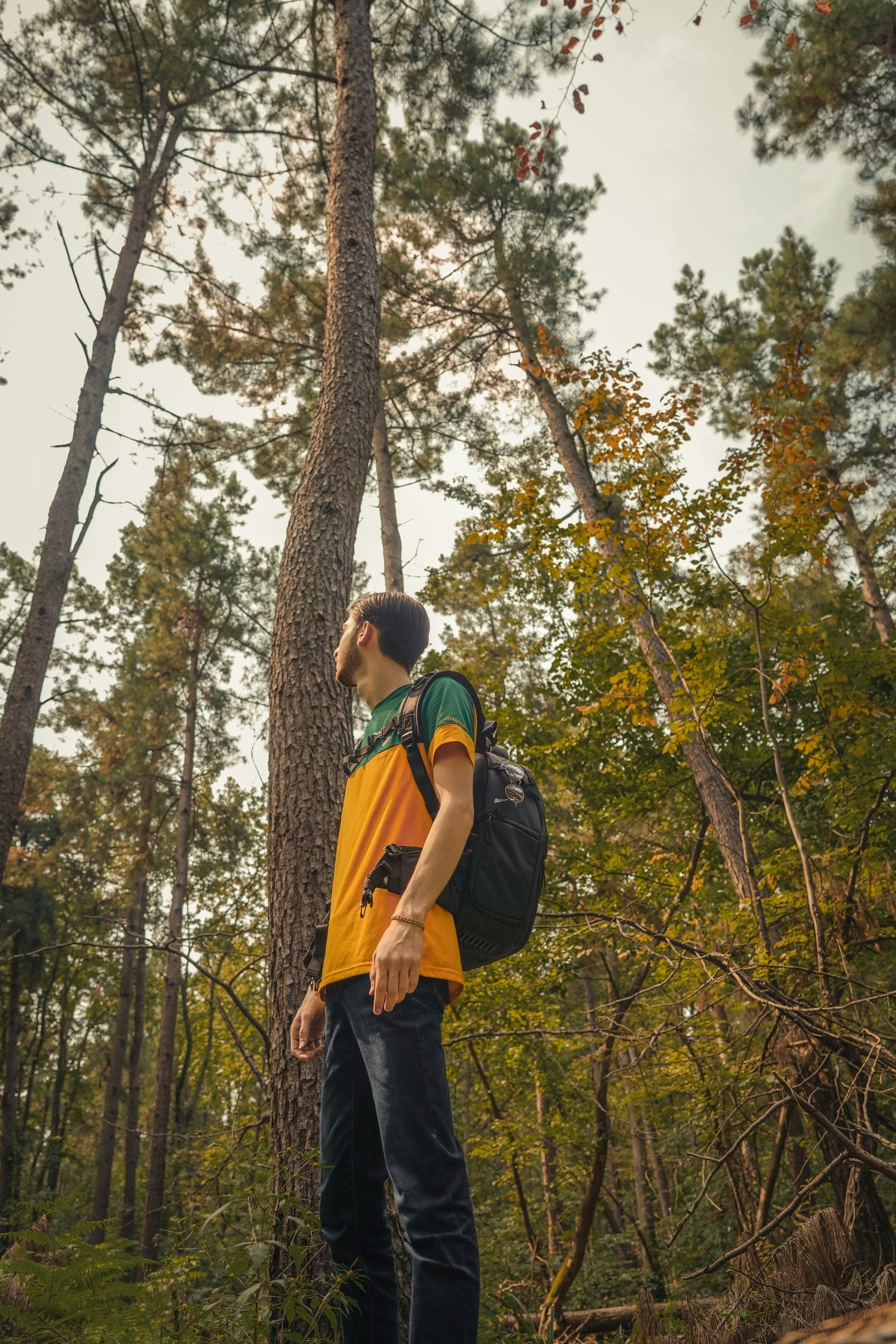 Photo by kiarash_mansouri