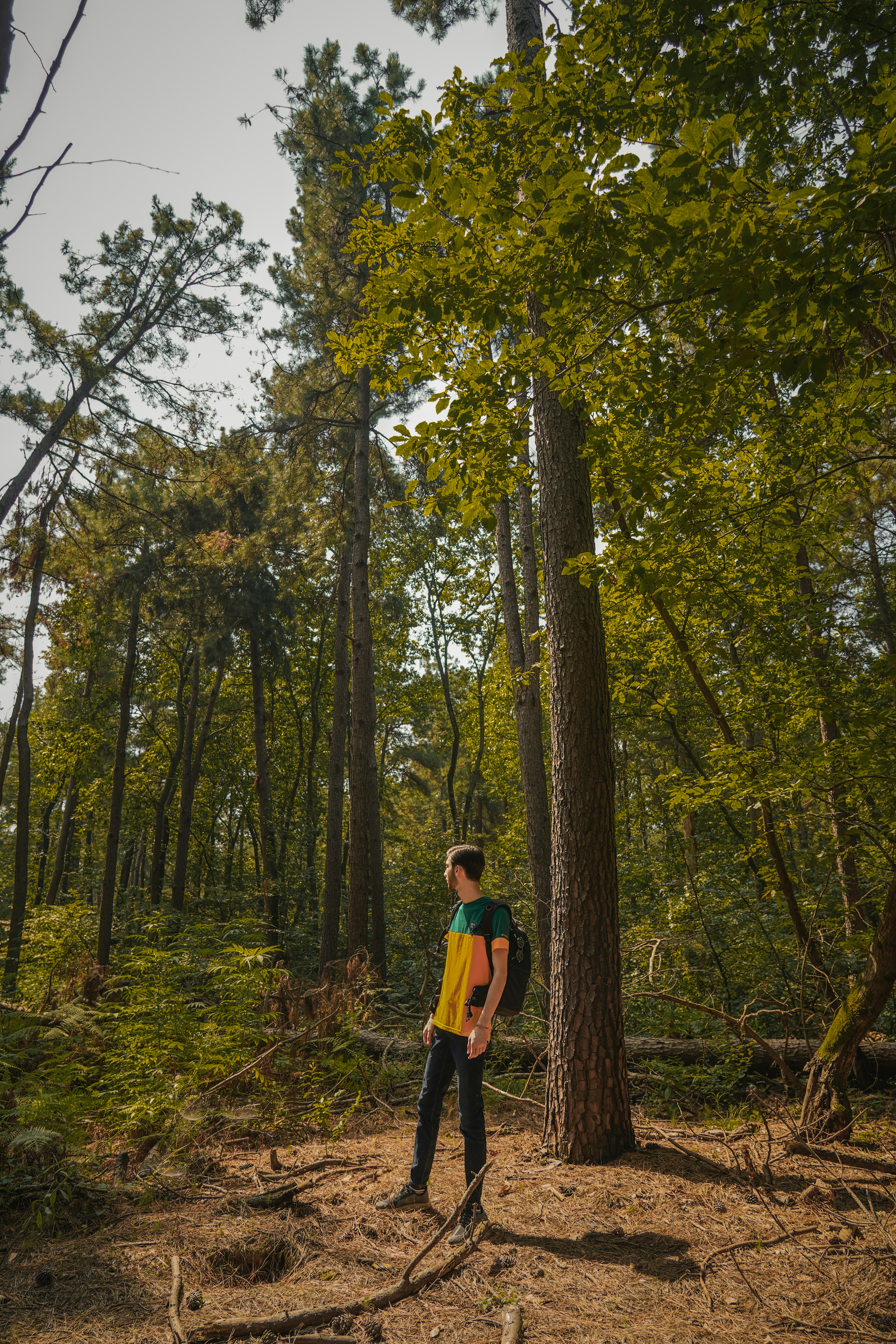 Photo by kiarash_mansouri