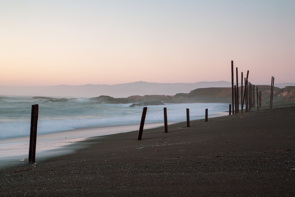 brown wooden poles on seashore during daytime