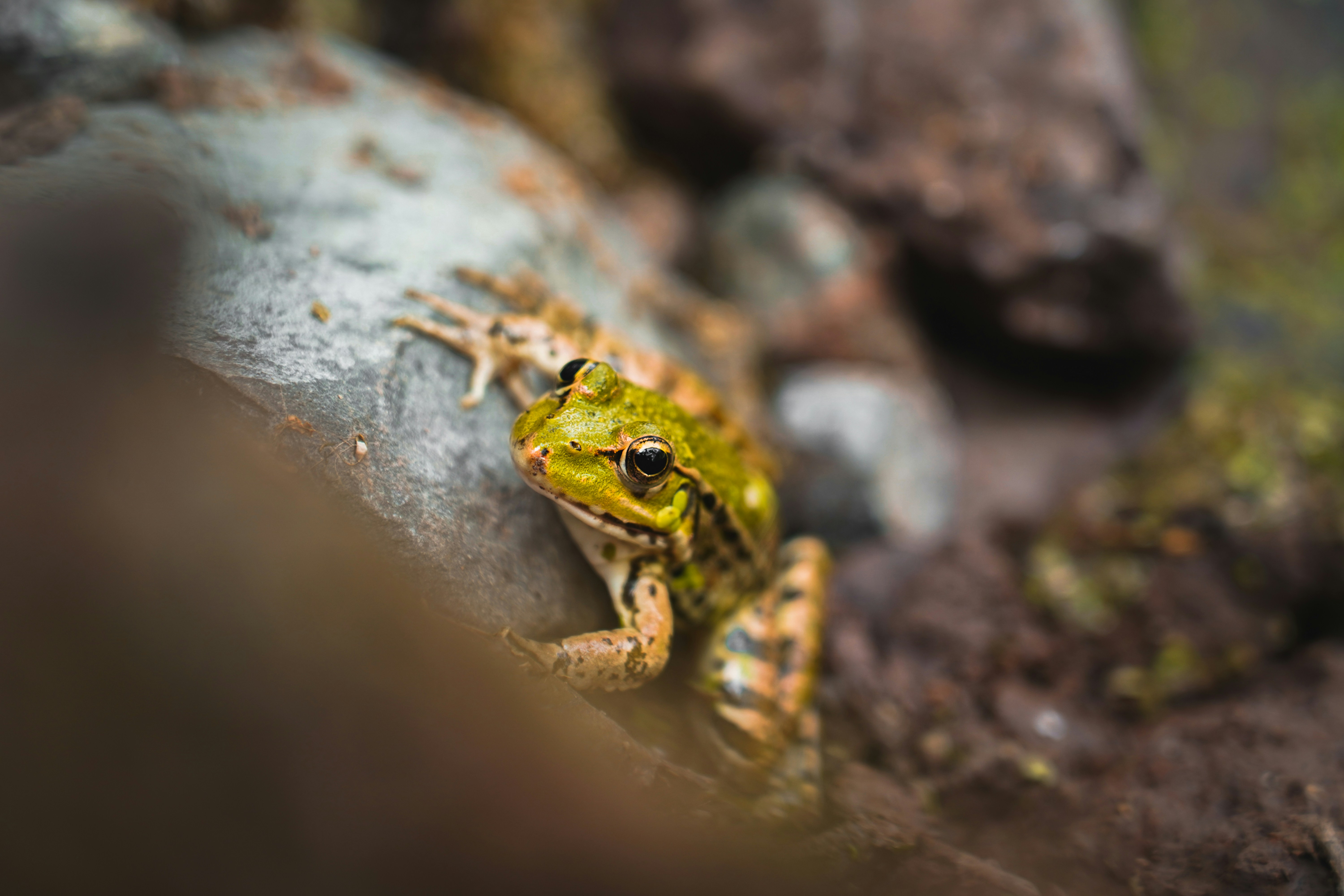 Photo by kiarash_mansouri