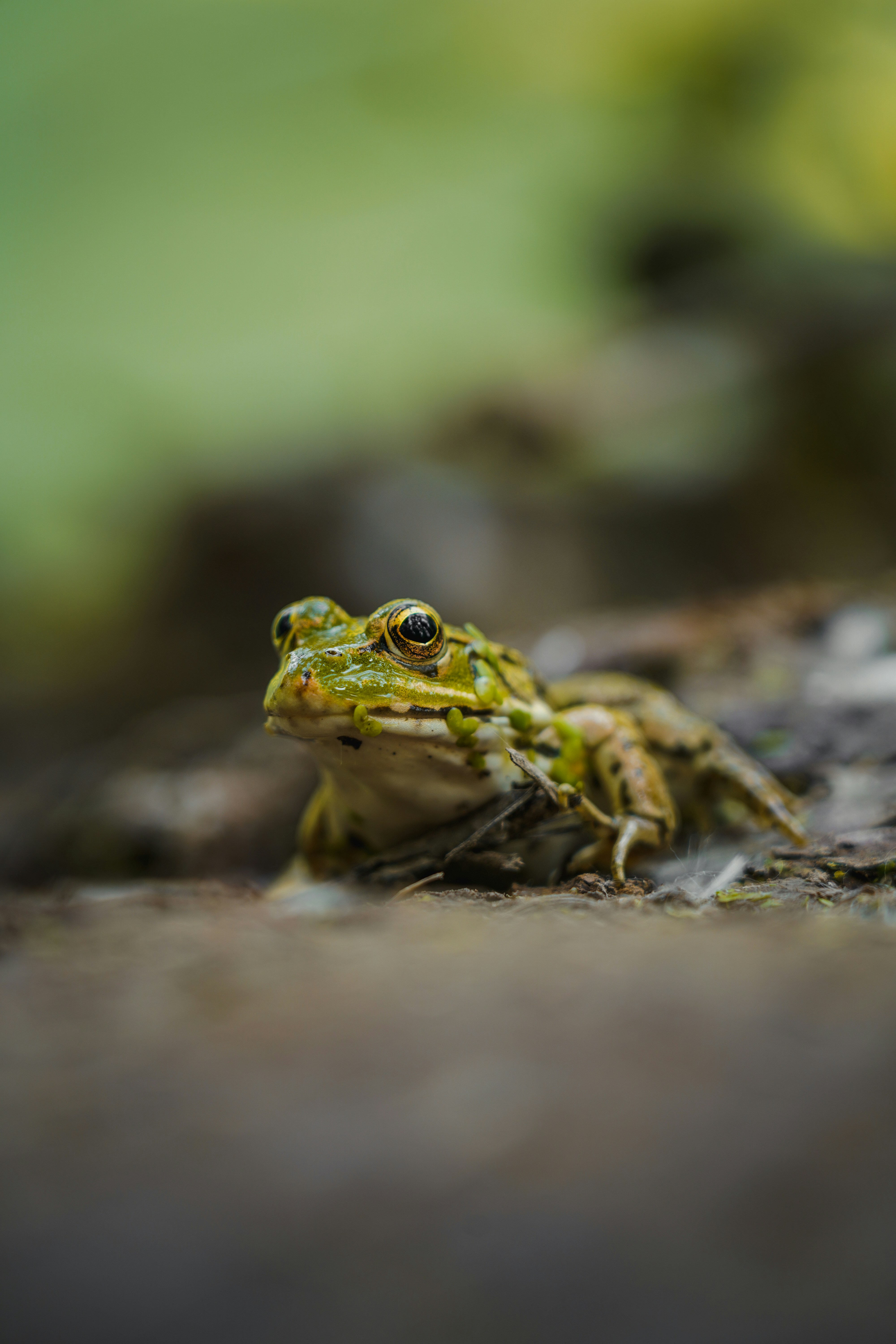 Photo by kiarash_mansouri