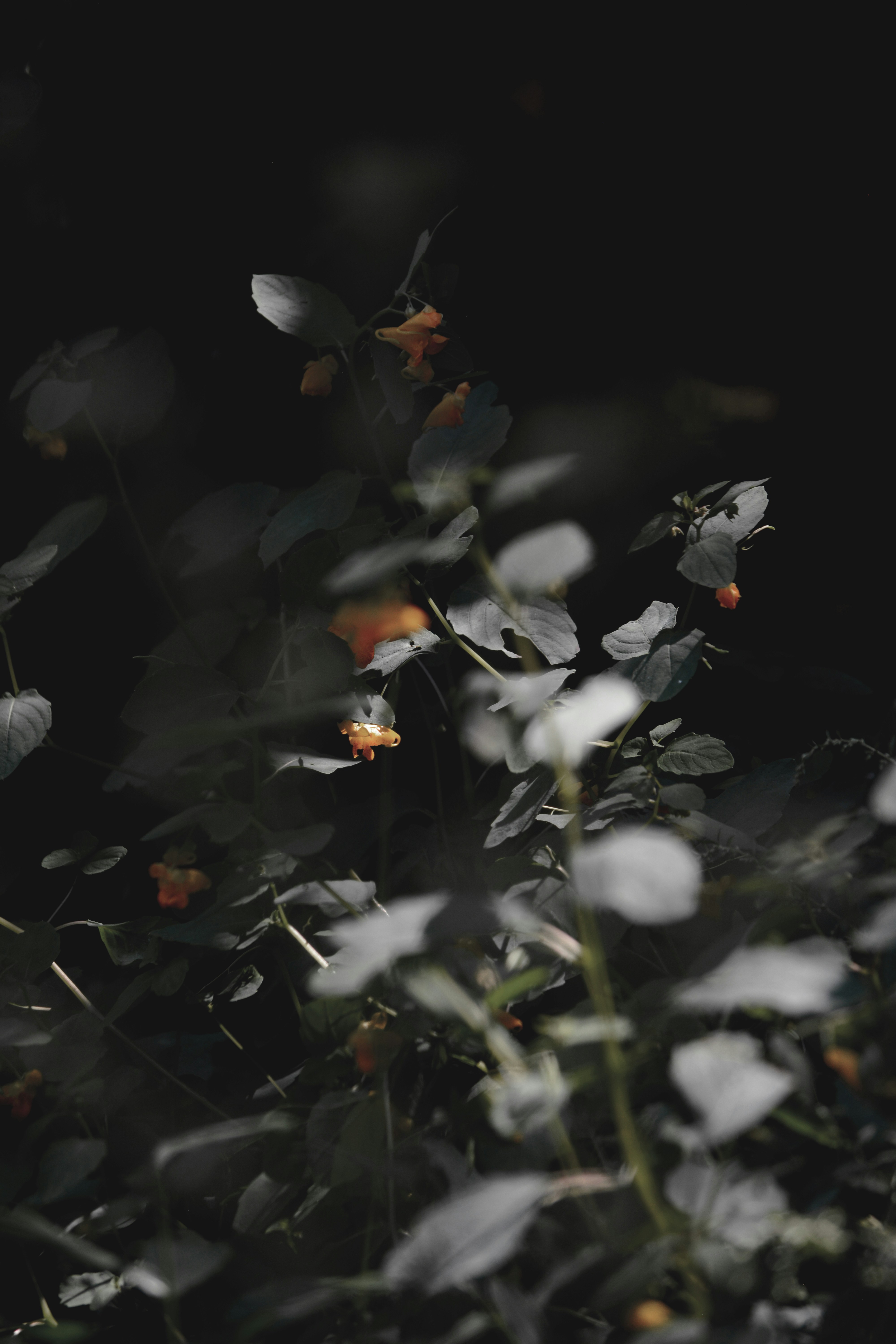 Photo by christinadera