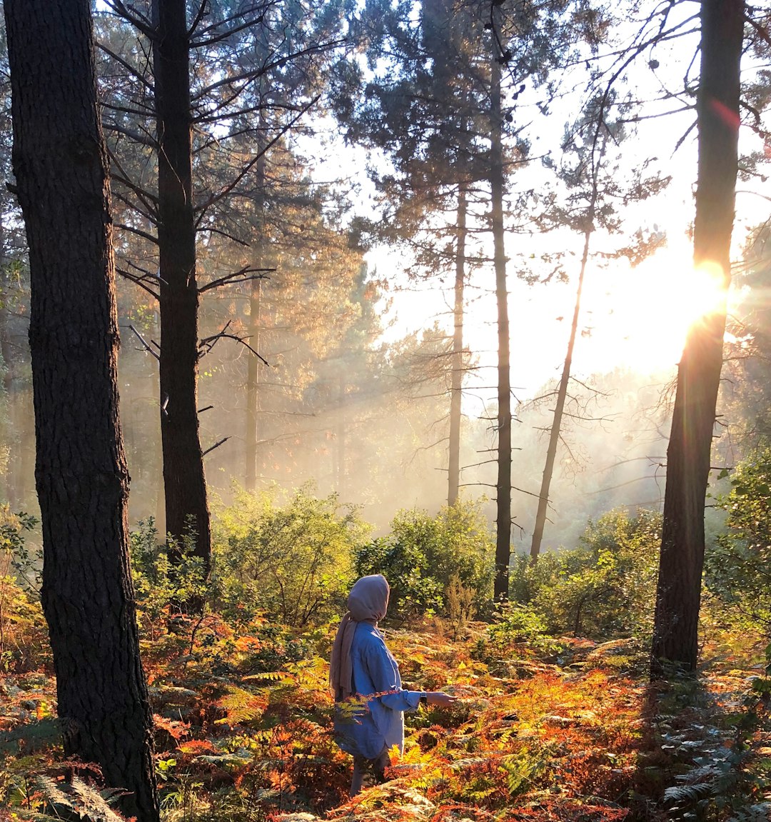 Forest photo spot Istanbul Kumköy