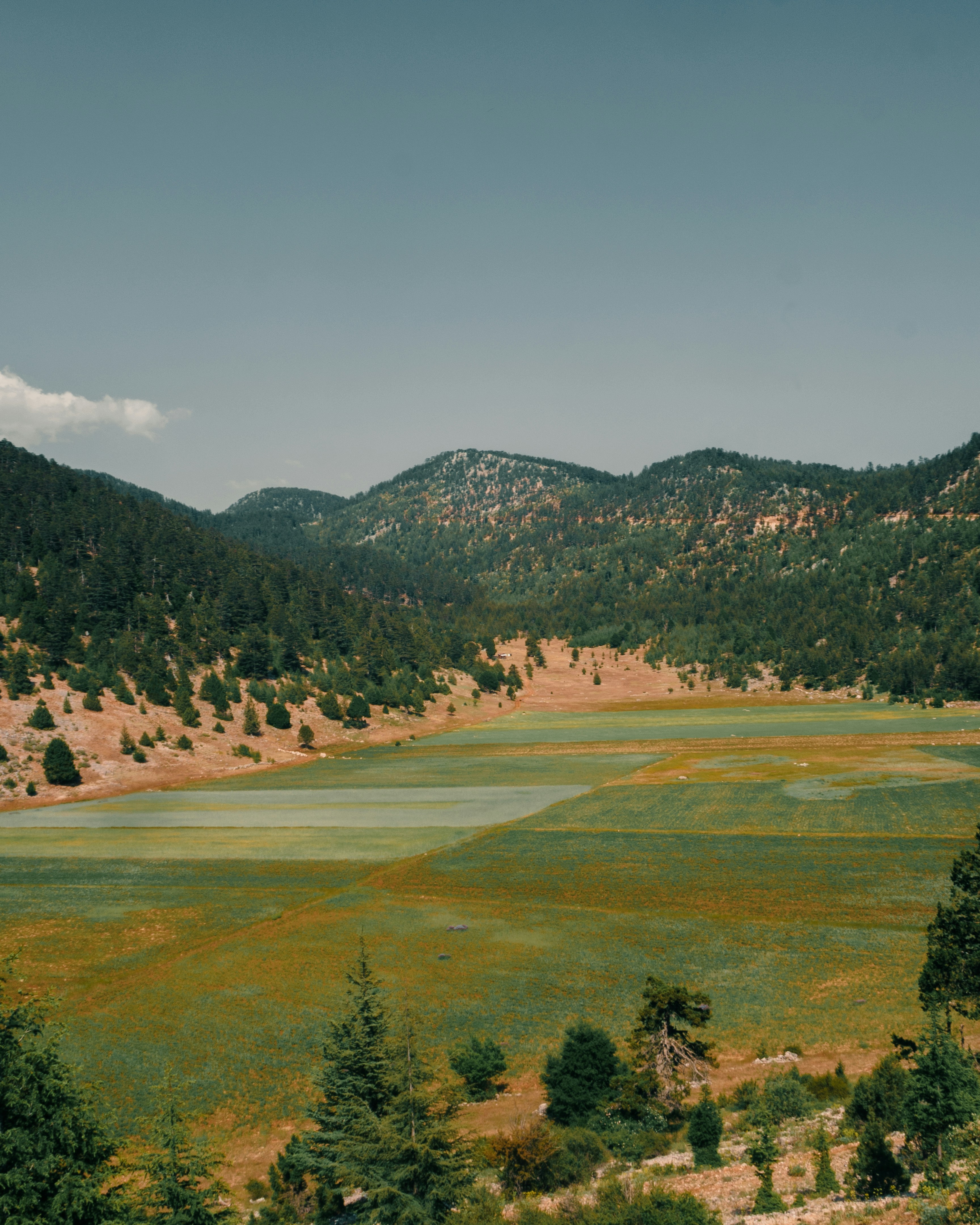 Photo by dsaricashoots