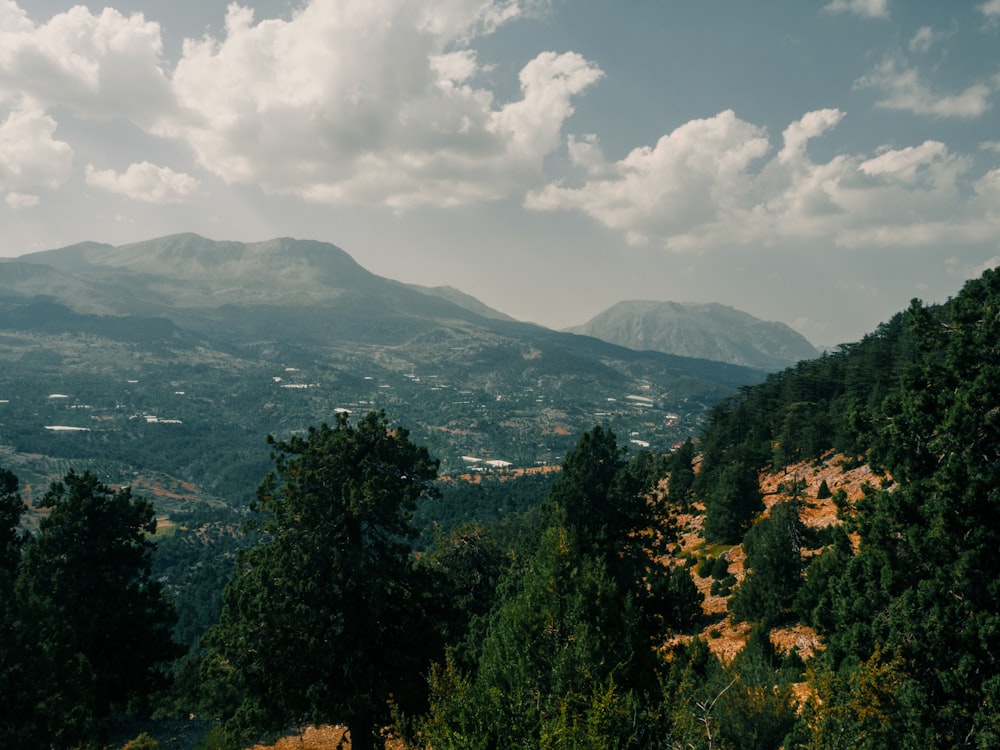 green trees and mountains under white clouds and blue sky during daytime