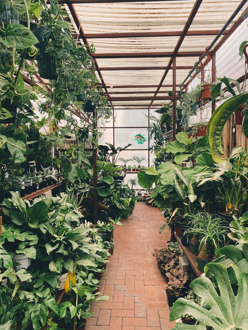 Plantas verdes en suelo marrón