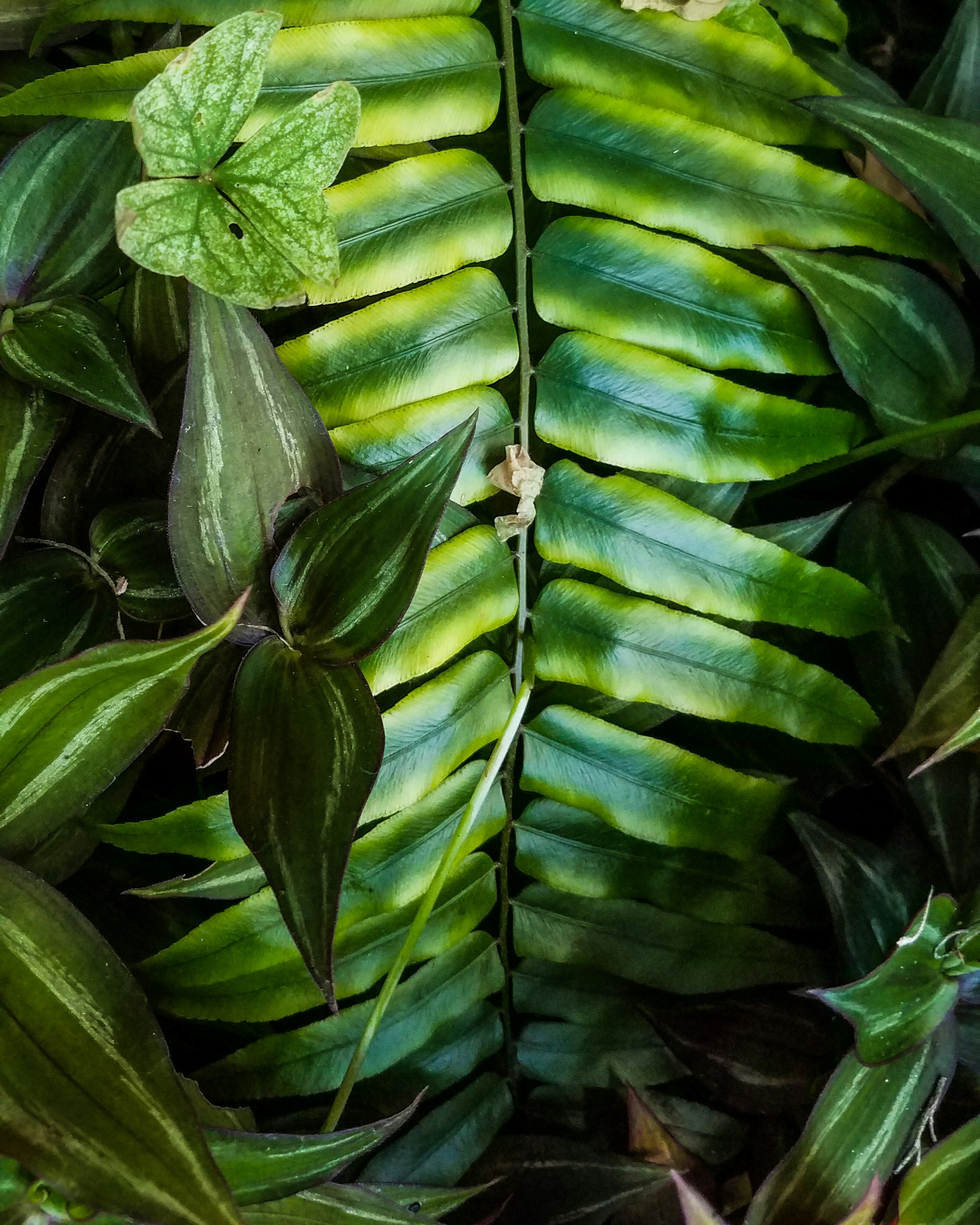 Photo by randomperson666