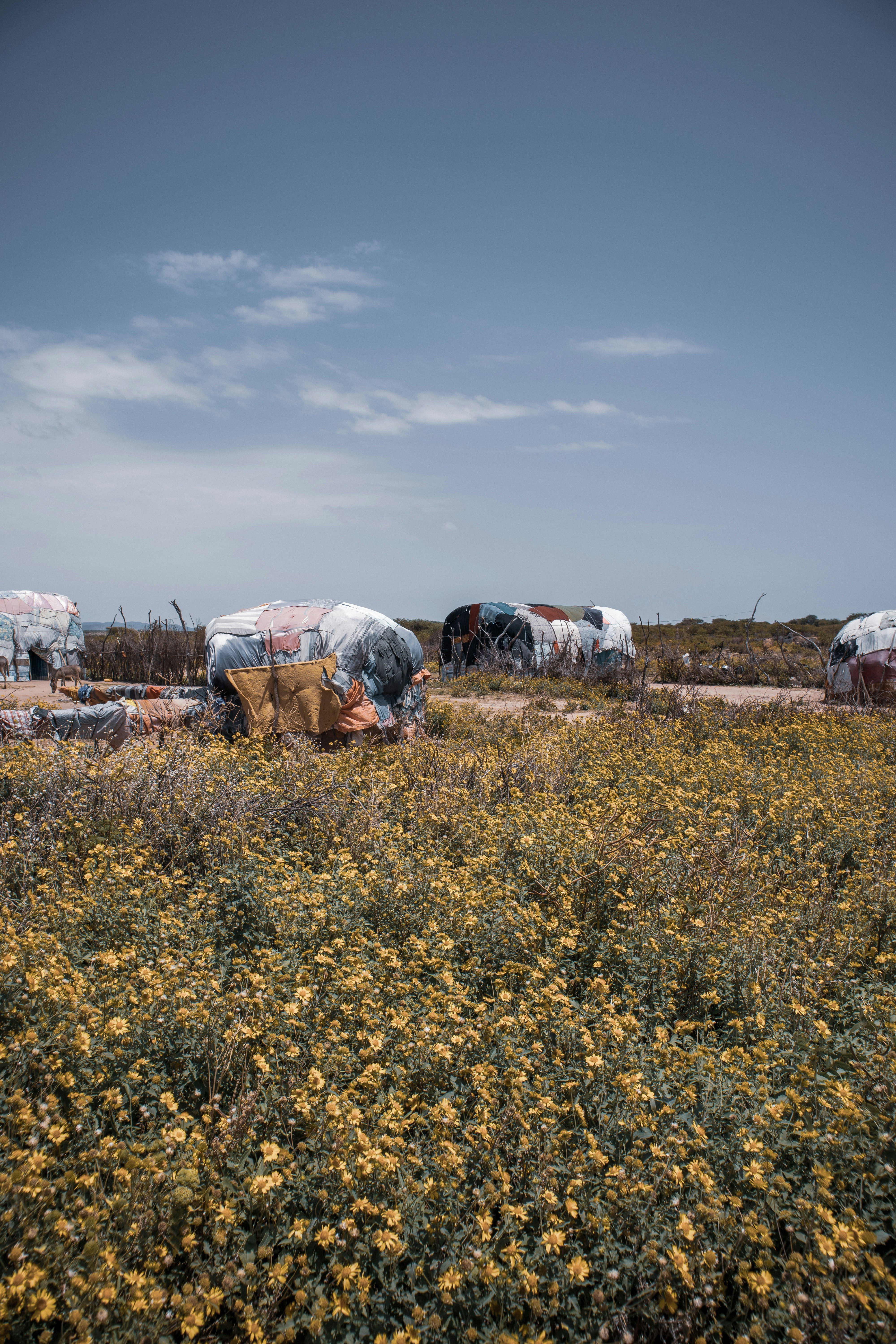 Failing the State: Recognizing Somaliland