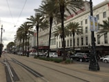 A street scene featuring palm trees lining the sidewalk, with a historic building housing a hotel and various shops including a fast-food restaurant. The streetcar tracks run down the middle of the road, with cars parked on the side and a pedestrian walking nearby. Banners advertising a jazz festival hang from the streetlights.