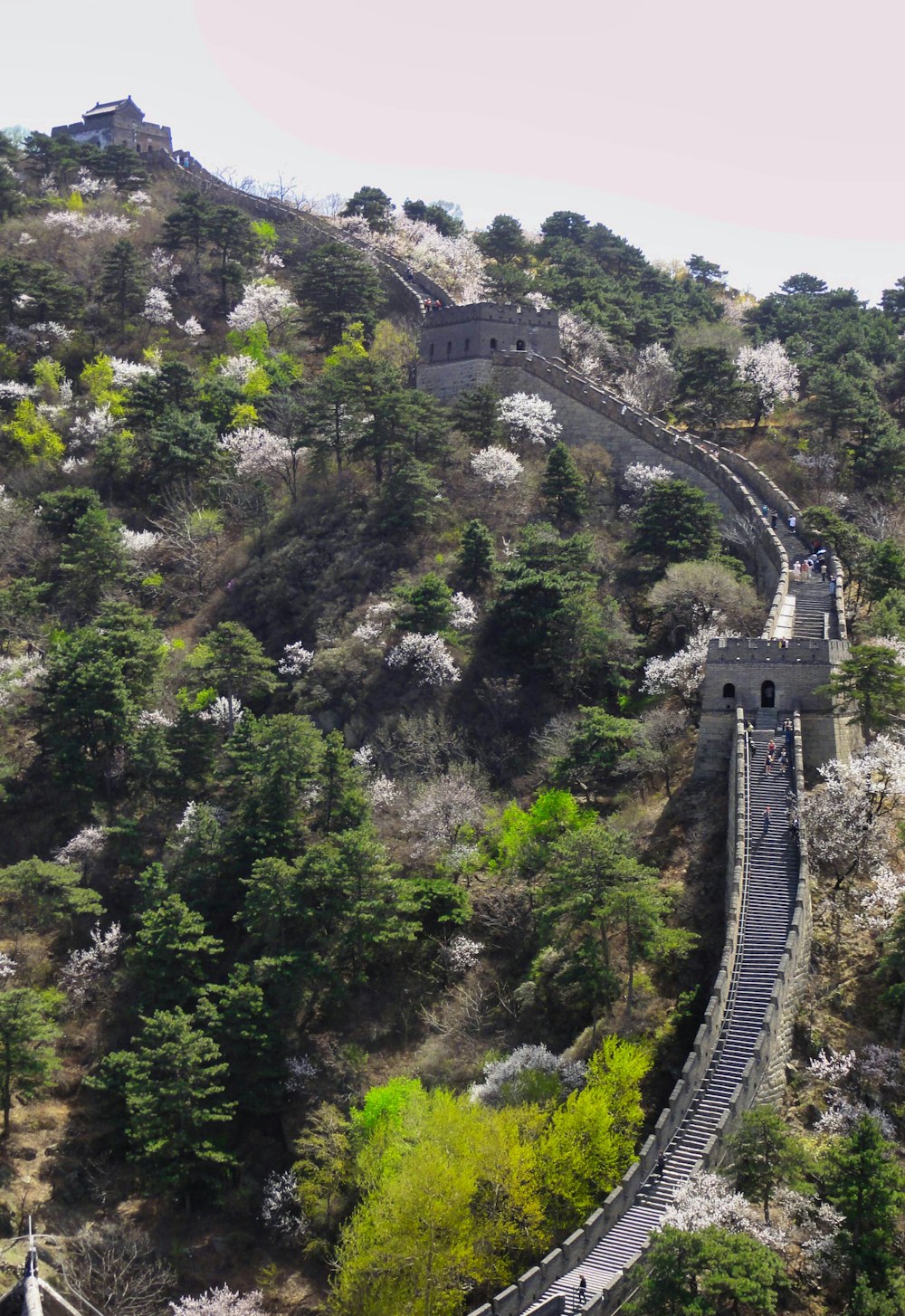 gray concrete bridge on top of green trees during daytime