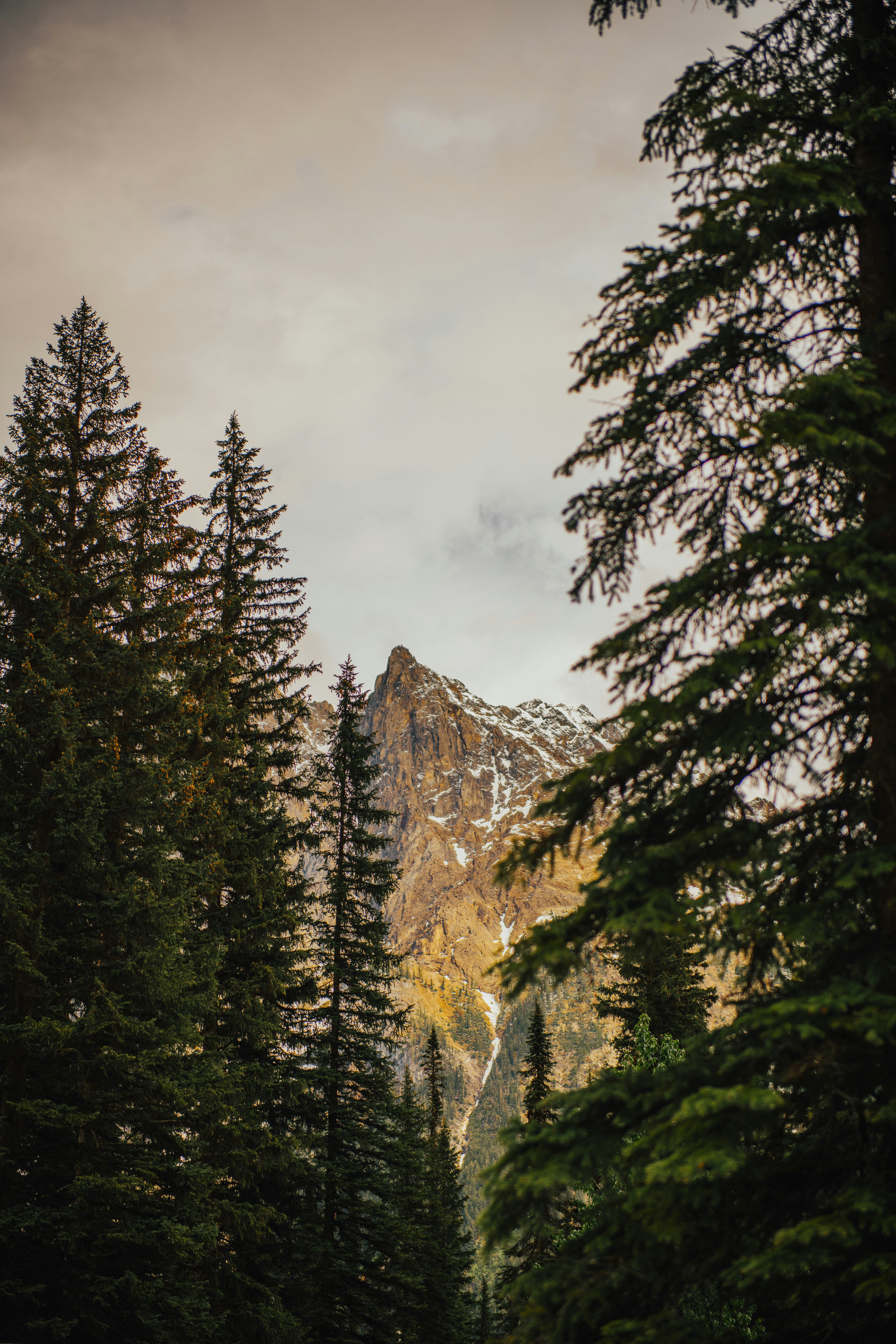 Photo by benkarpinski