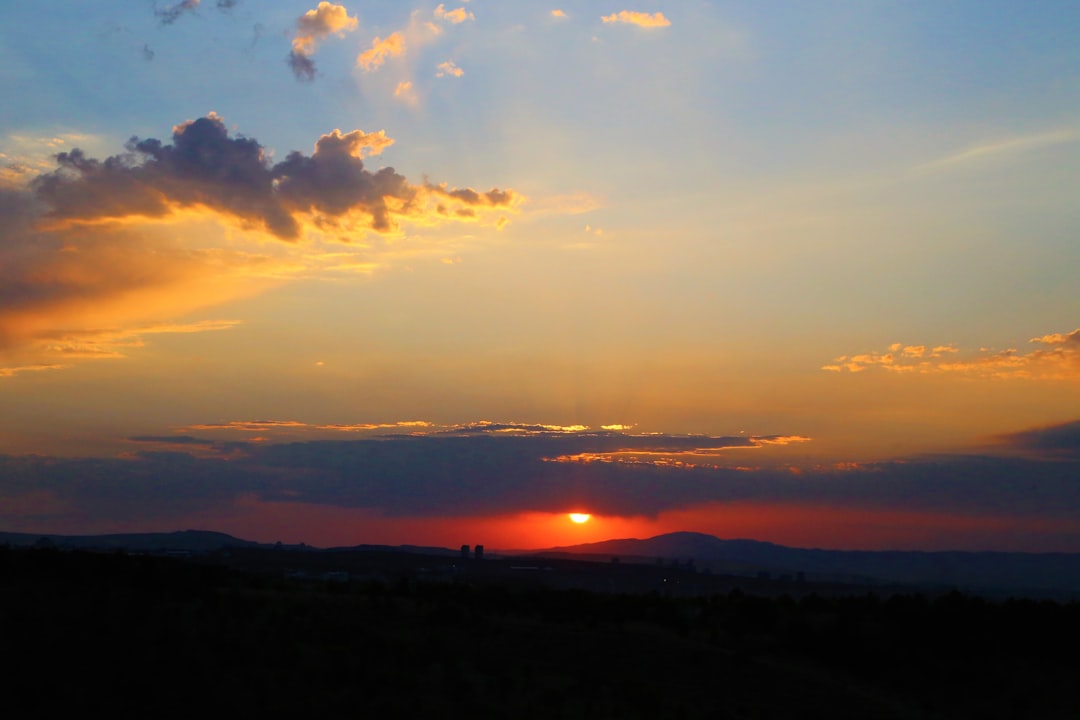 silhouette of trees during sunset