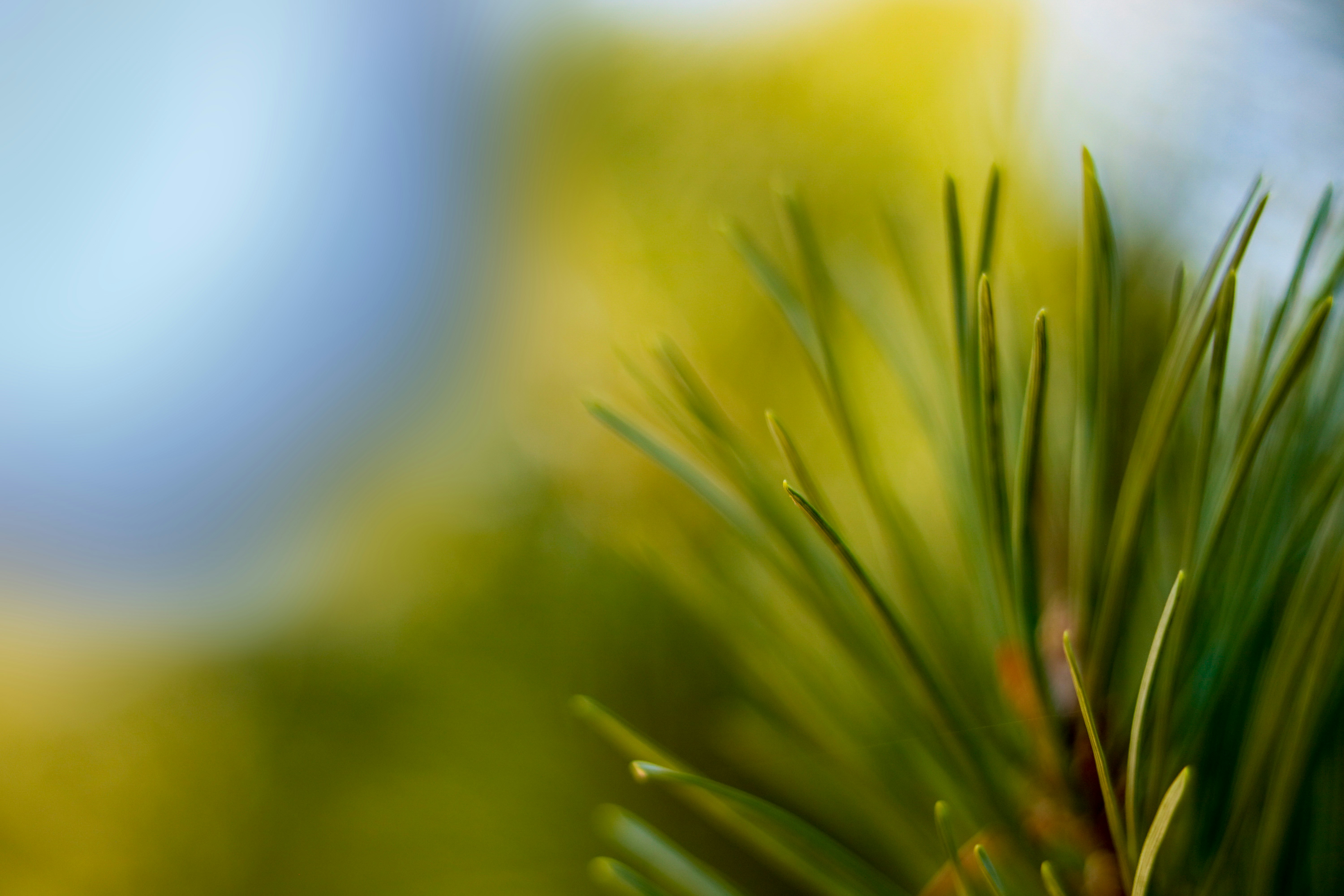 Photo by ovidiugruescu