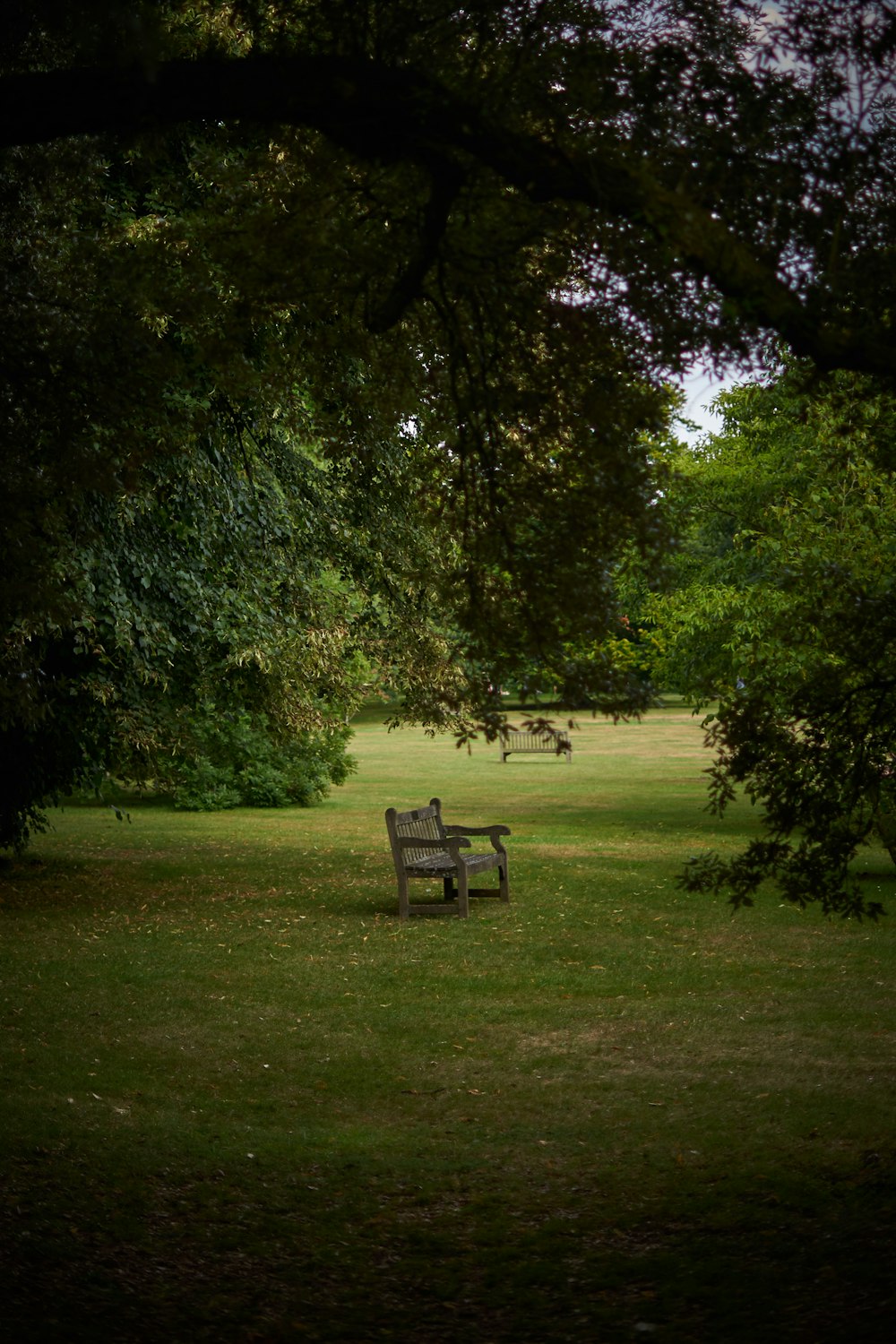 brown wooden bench on green grass field surrounded by green trees during daytime