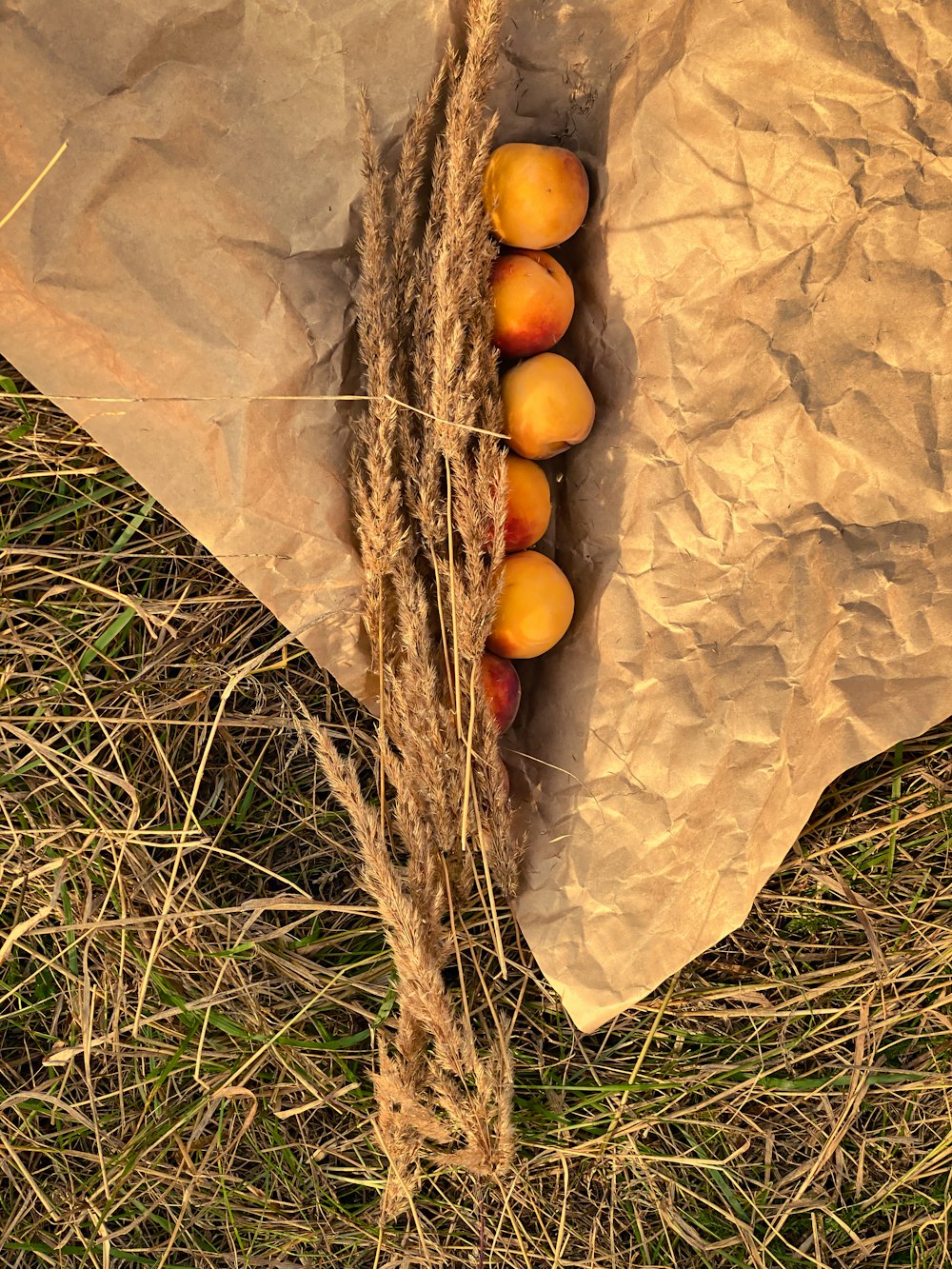 brown round fruits on brown paper bag