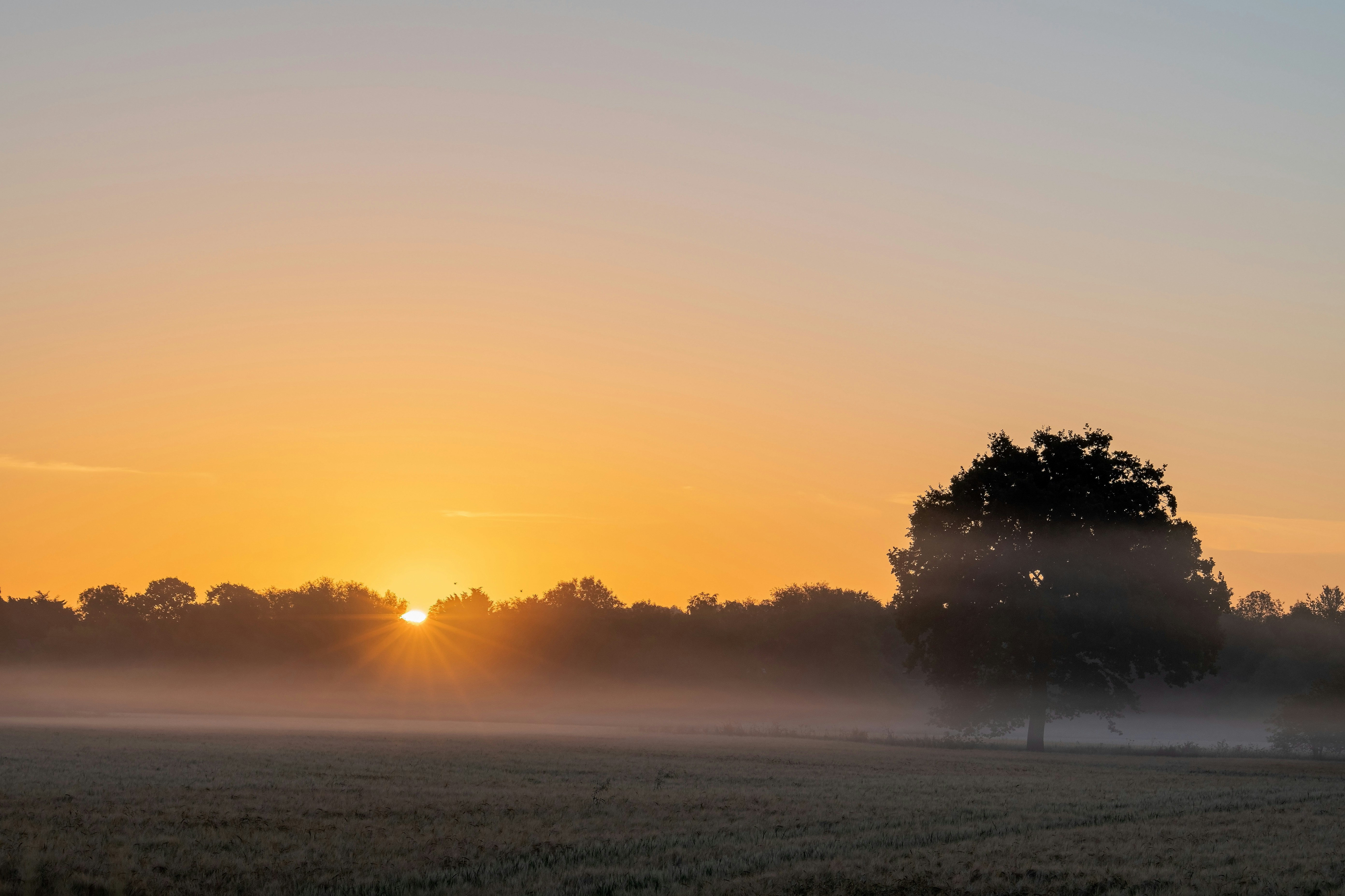 Photo by brendonvzyl