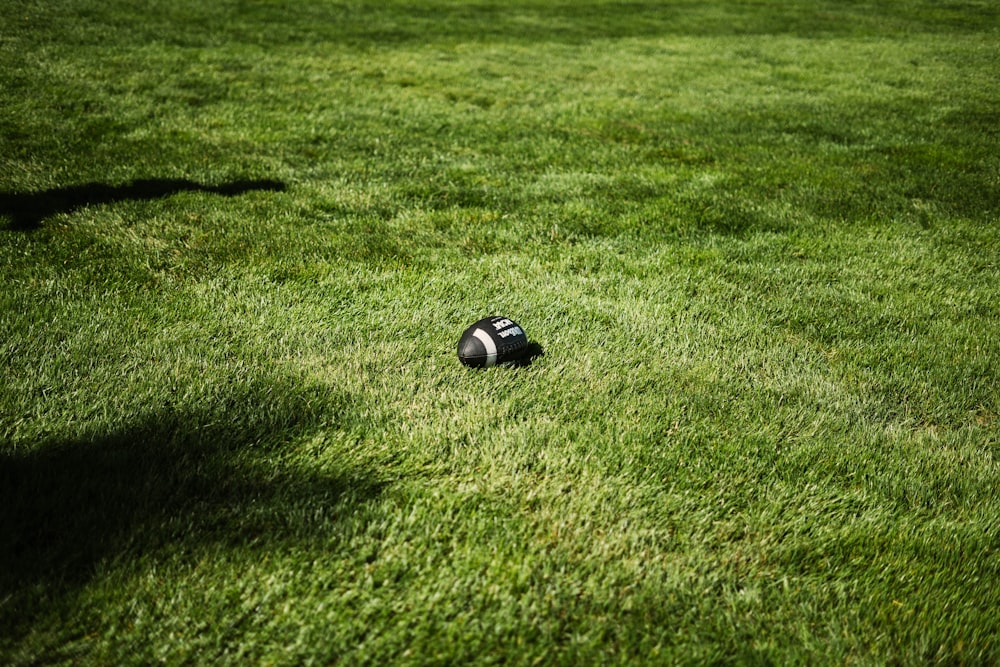 black soccer ball on green grass field during daytime