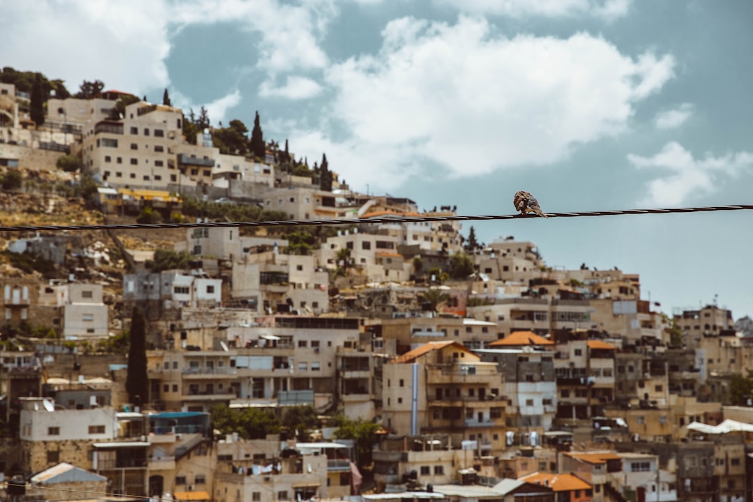 white and brown concrete buildings under white clouds and blue sky during daytime