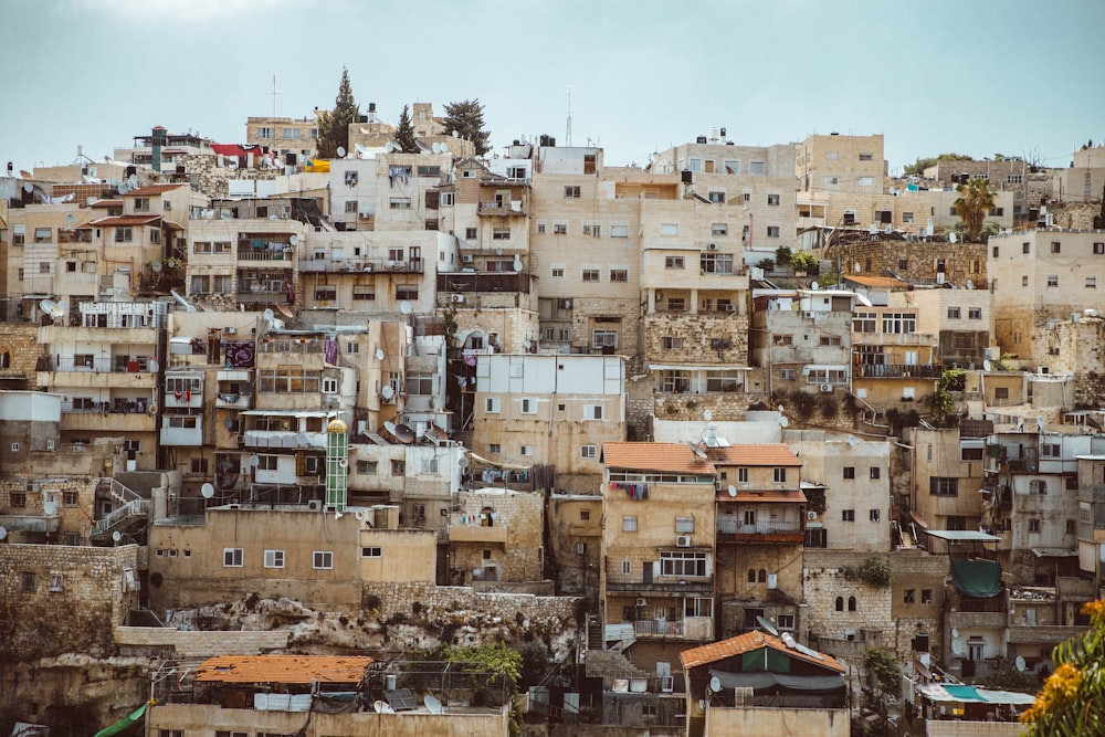 white and brown concrete buildings during daytime