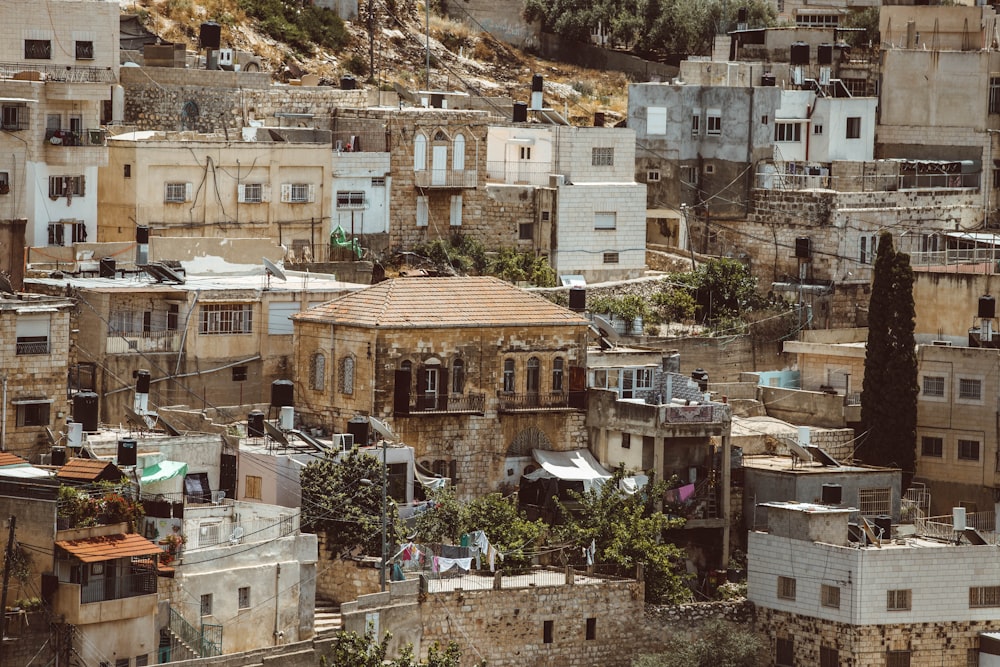 white and brown concrete buildings during daytime