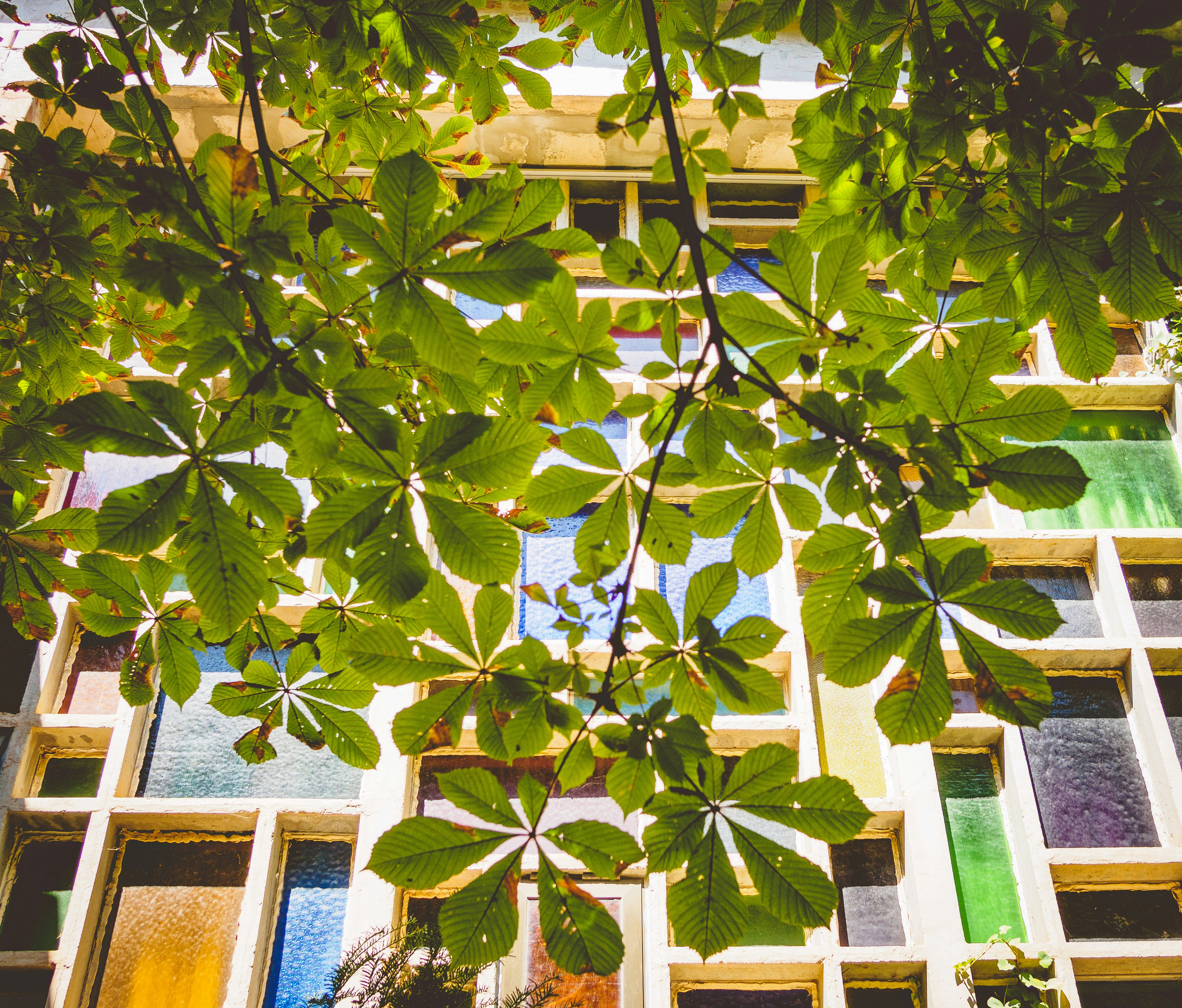 Photo by gabrielmccallin