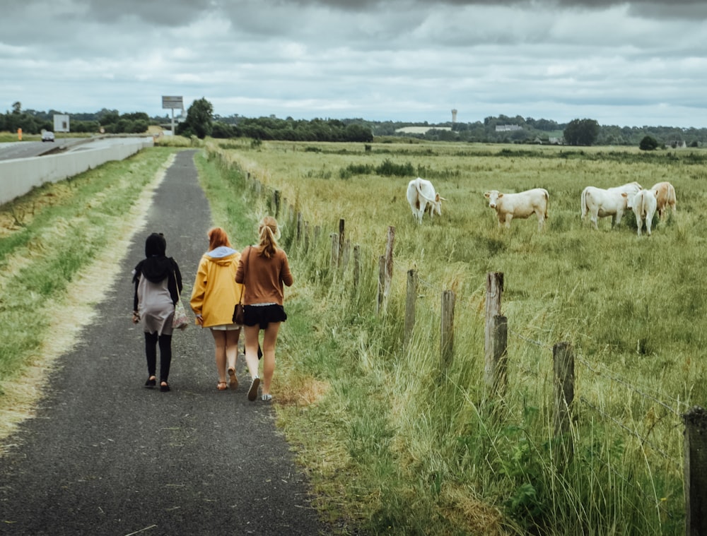 people walking on road during daytime