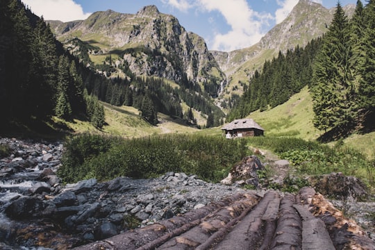 brown wooden house on rocky mountain during daytime in Moldoveanu Peak Romania