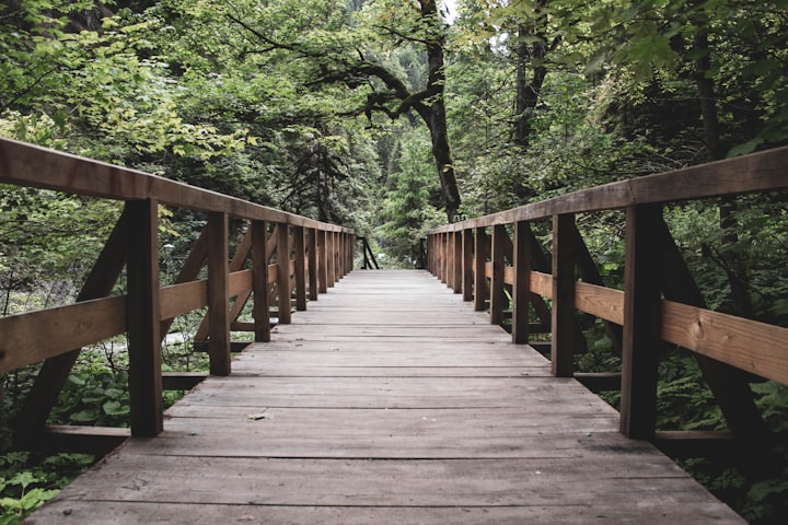 Habits Are Like The Wood Planks That Form A Bridge 
