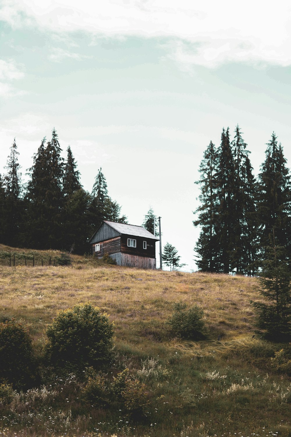 maison en bois marron près des arbres verts sous le ciel blanc pendant la journée