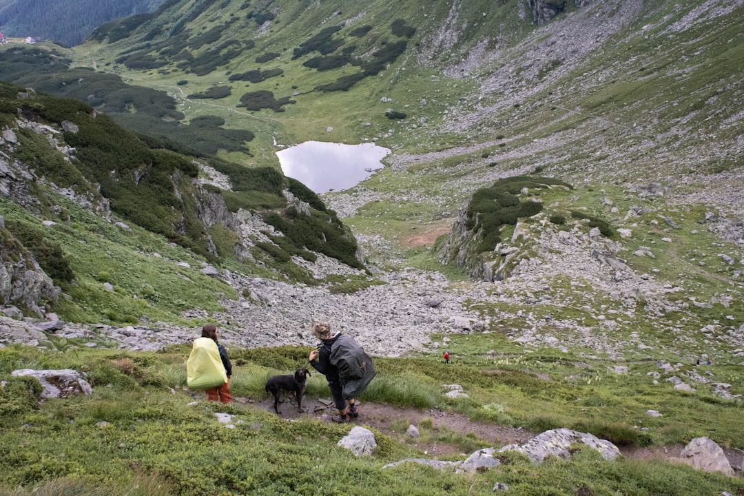 Hill station photo spot VÃ¢rful Pietrosul Rodnei Borșa