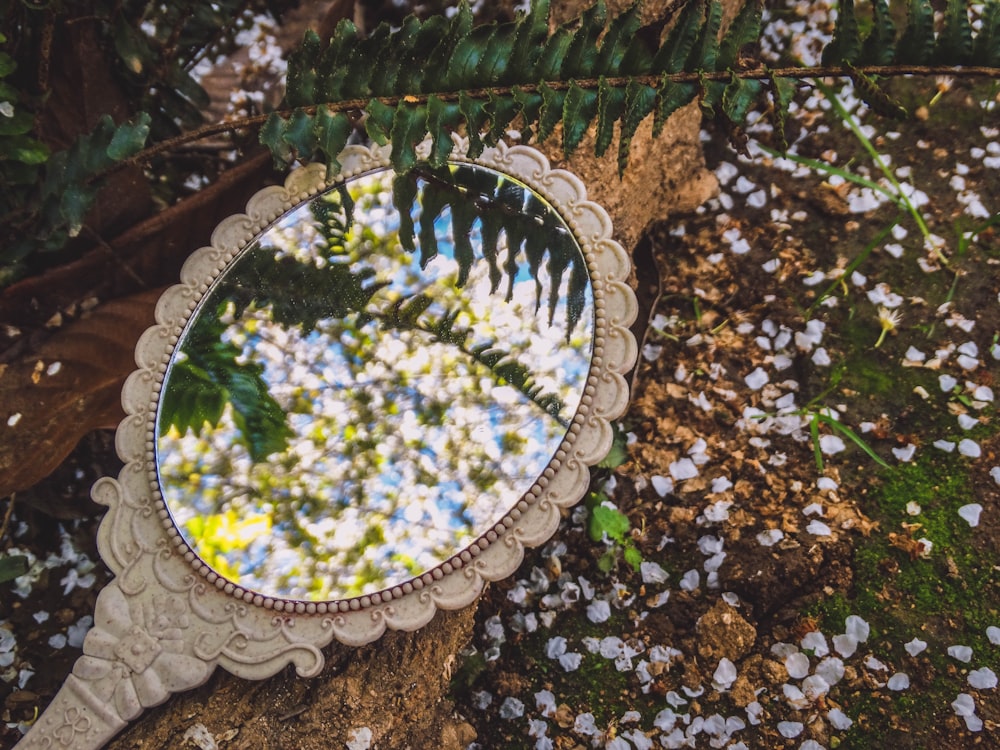 round mirror on brown dried leaves