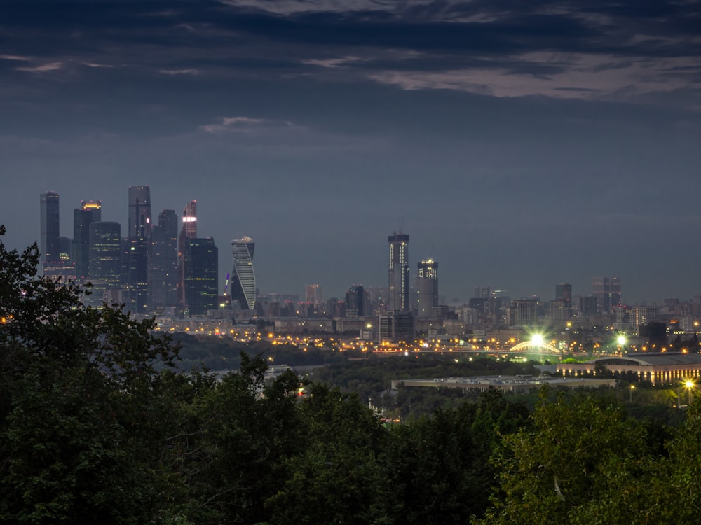 city skyline during night time