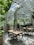 brown wooden table with chairs