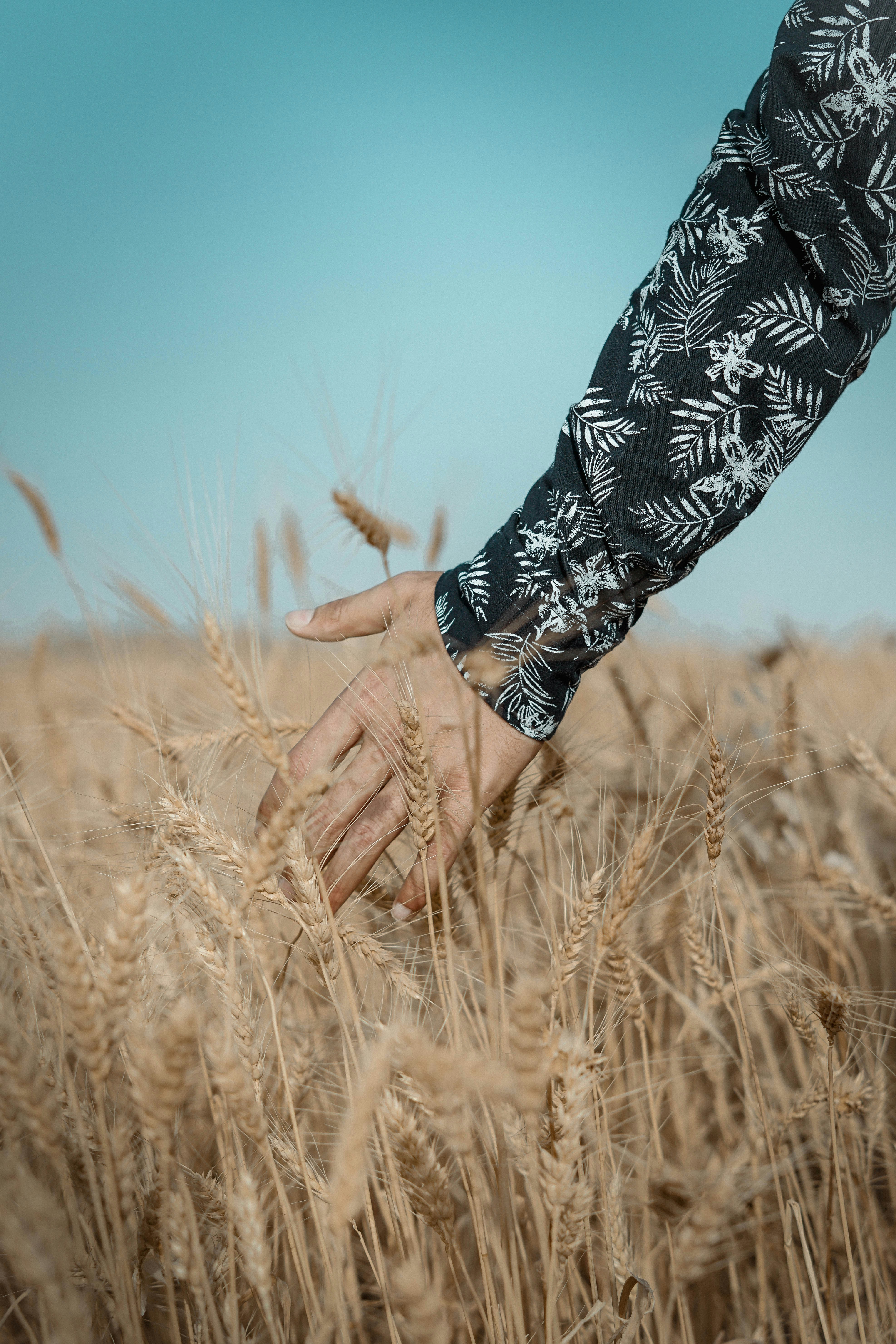 Photo by osamamuslih