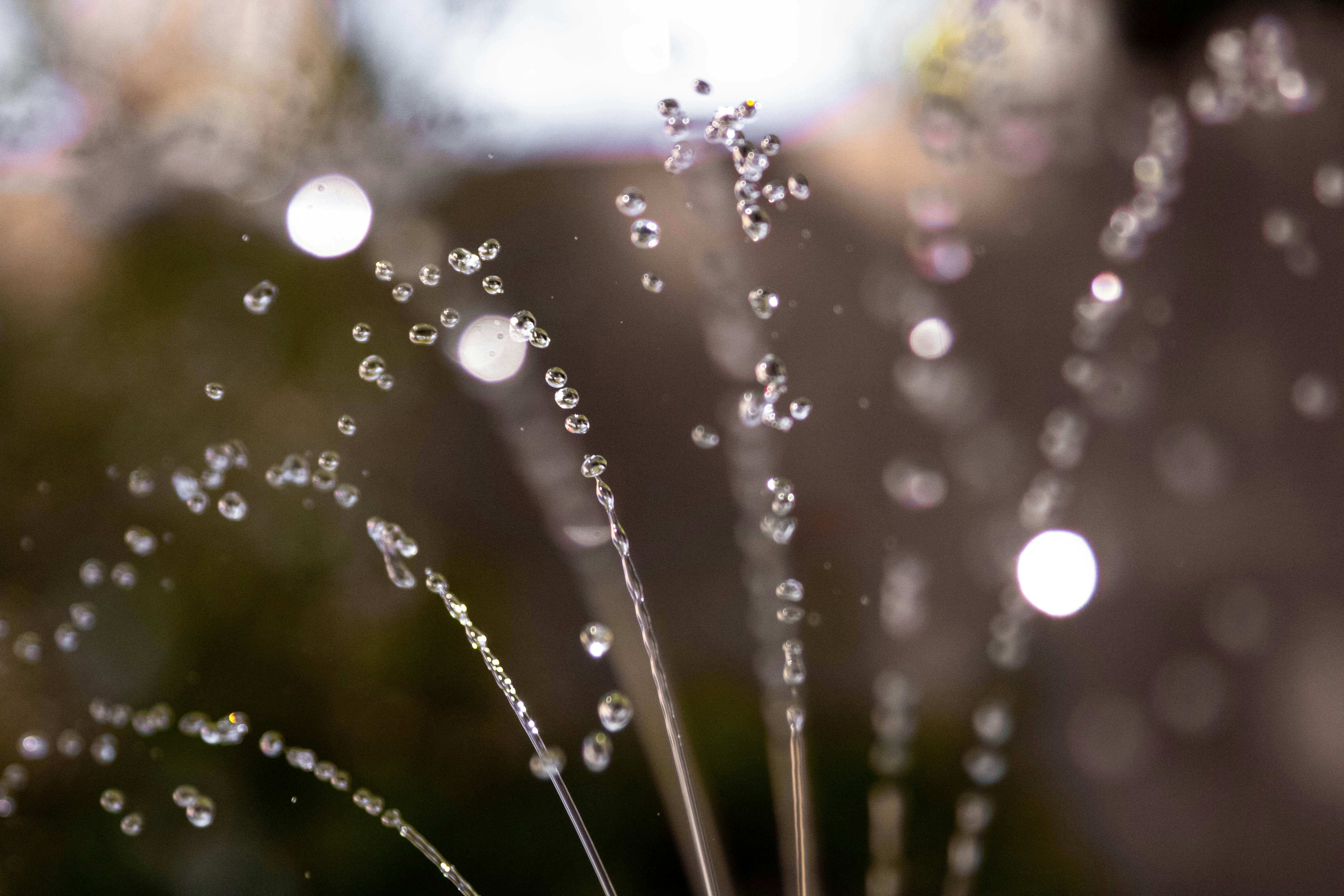 Photo by jeffersonsees