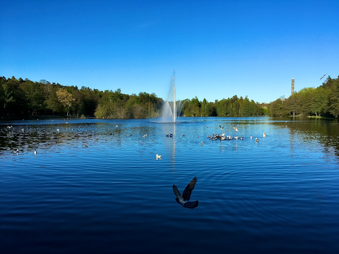 travelers stories about Reservoir in Ursviksvägen, Sweden