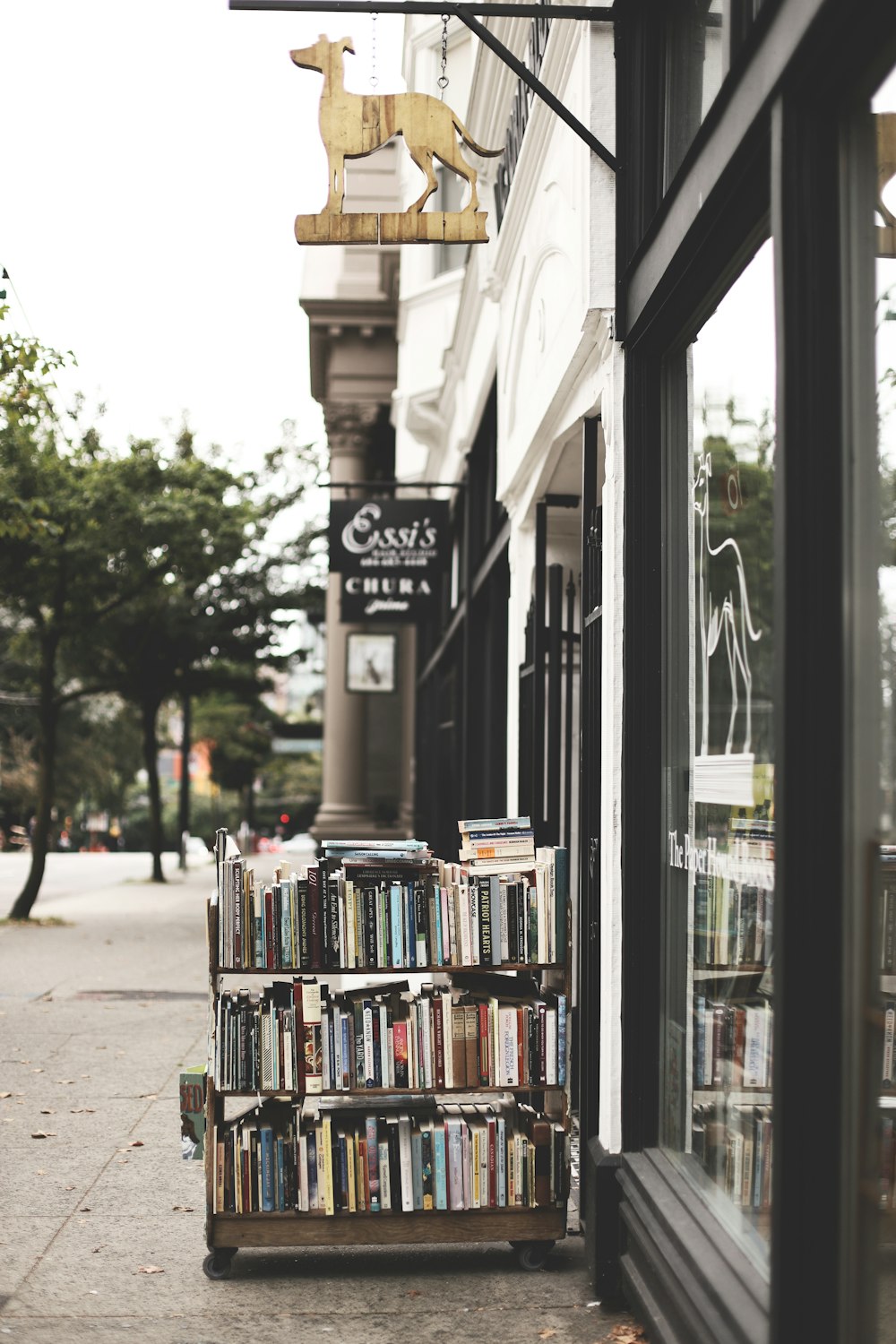 books on brown wooden shelf