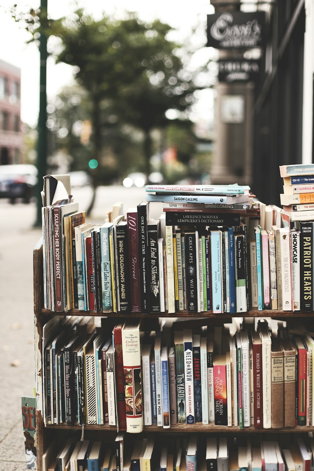 books on brown wooden shelf